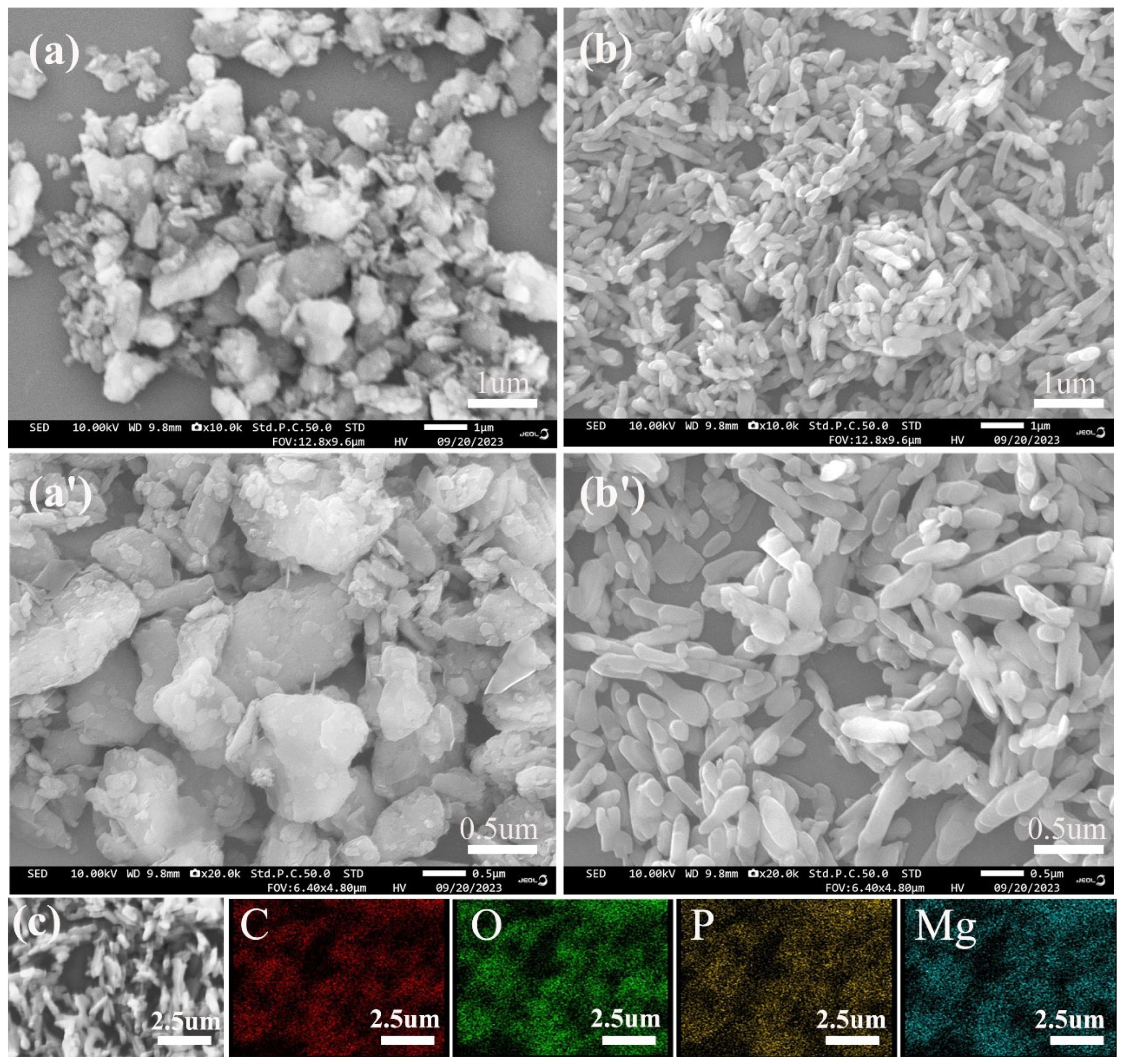 Polymers 16 01471 g003