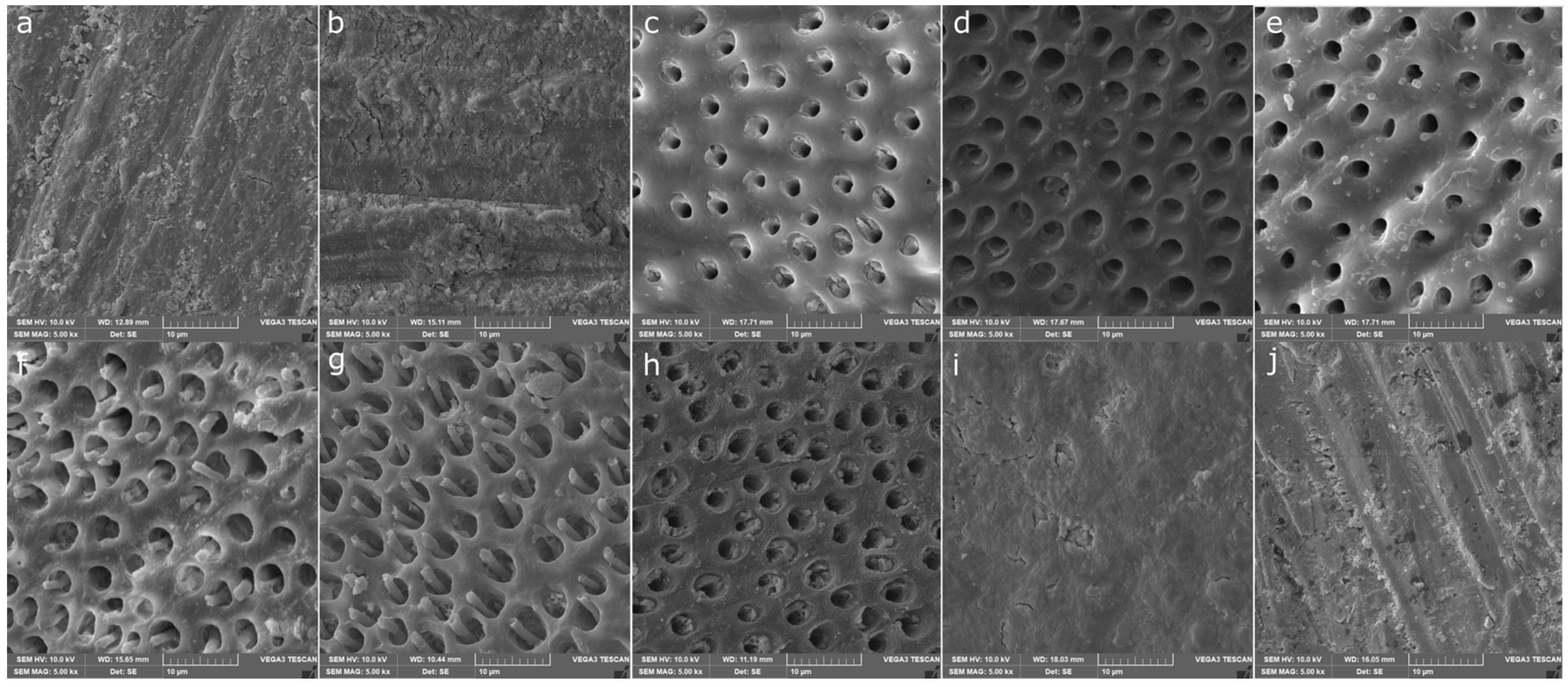 Polymers 16 01473 g003