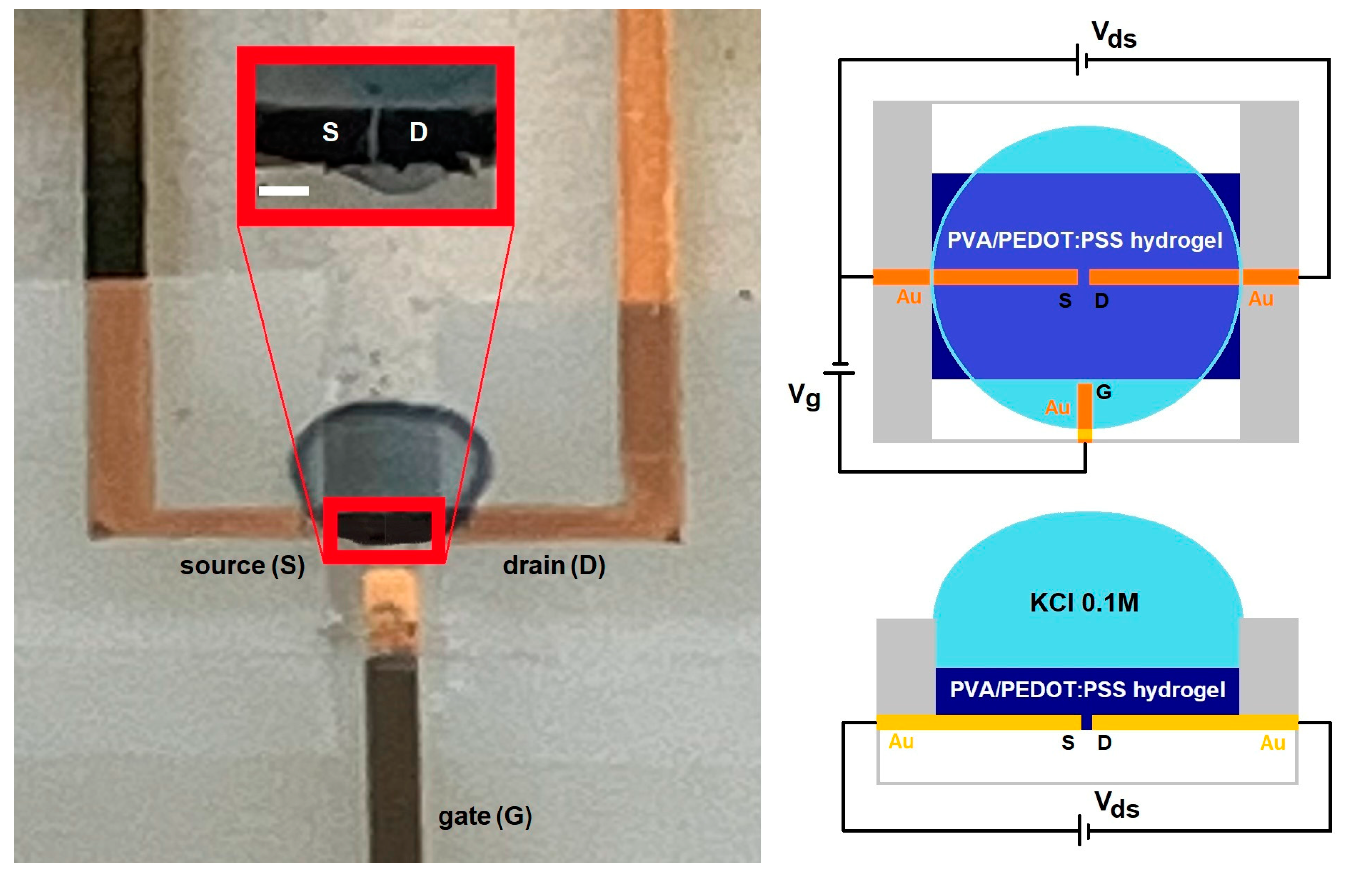Polymers 16 01478 g001
