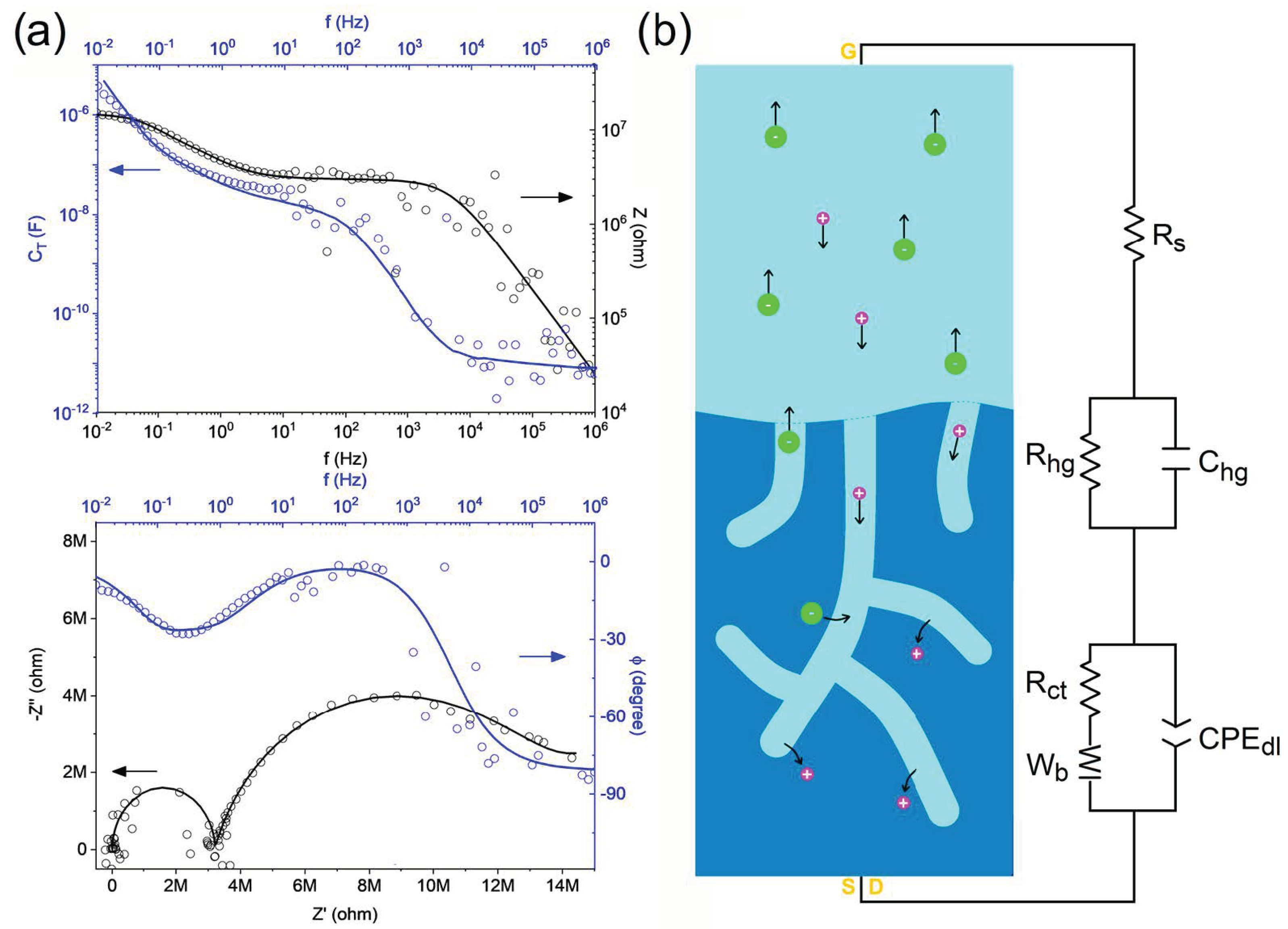 Polymers 16 01478 g008