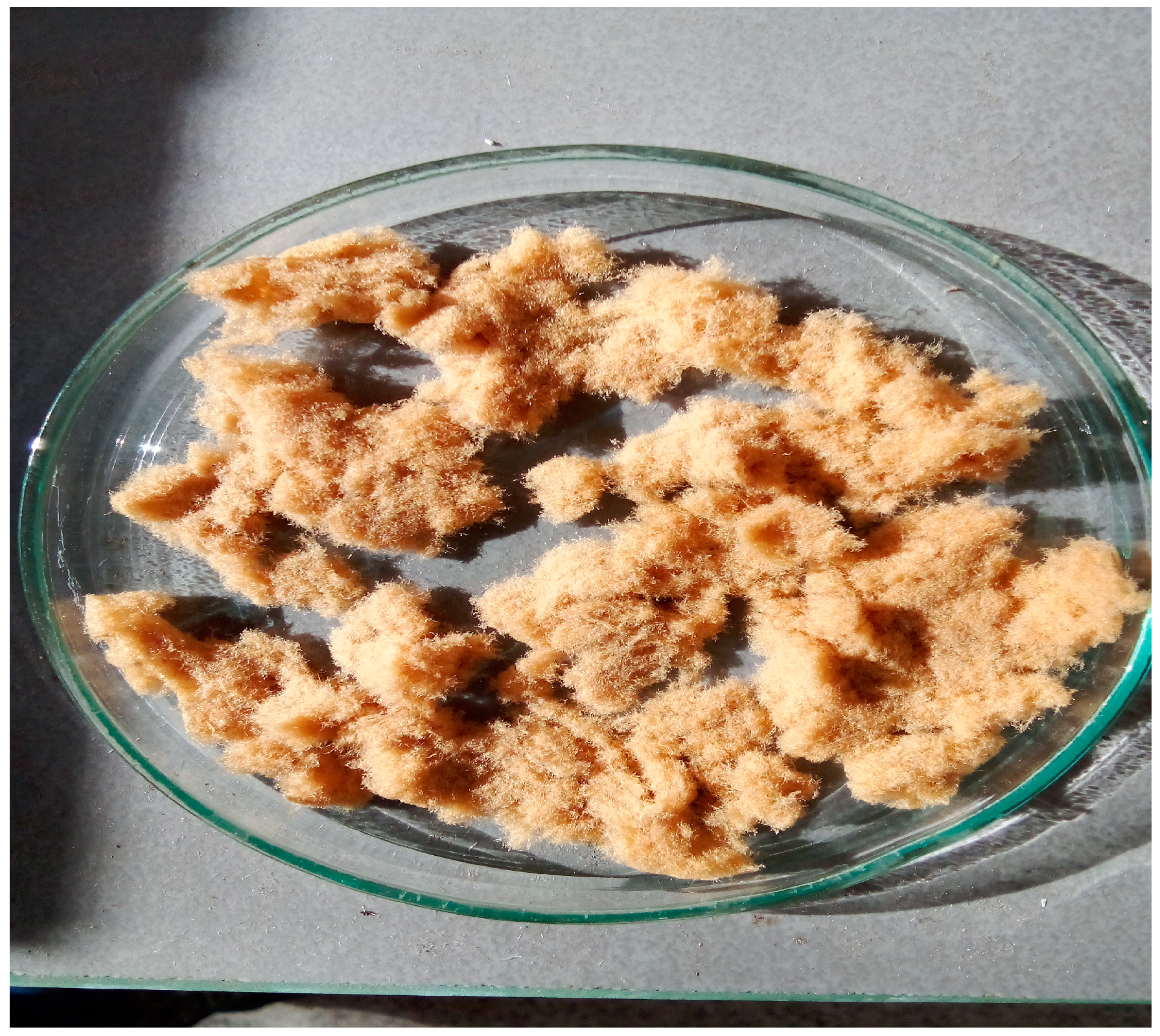 Polymers 16 01480 g002