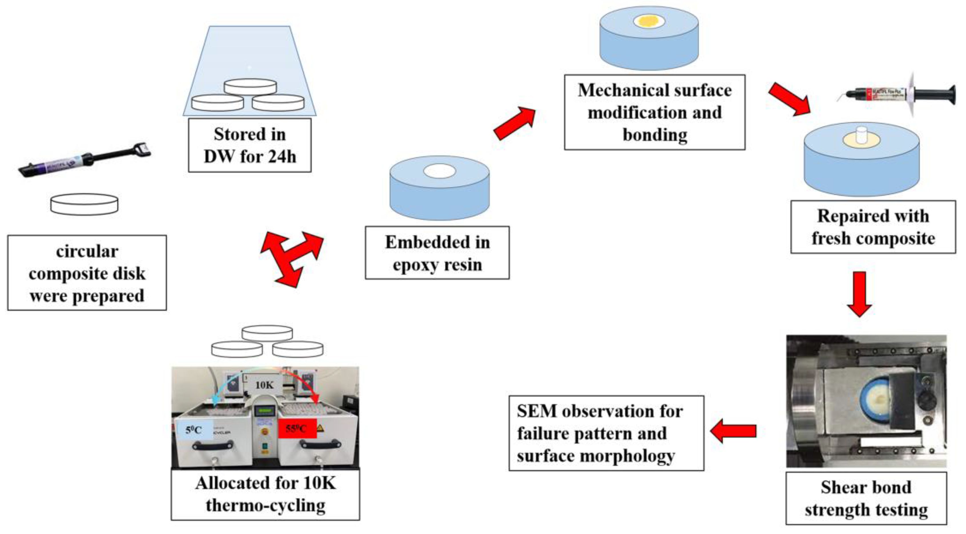 Polymers 16 01488 g001