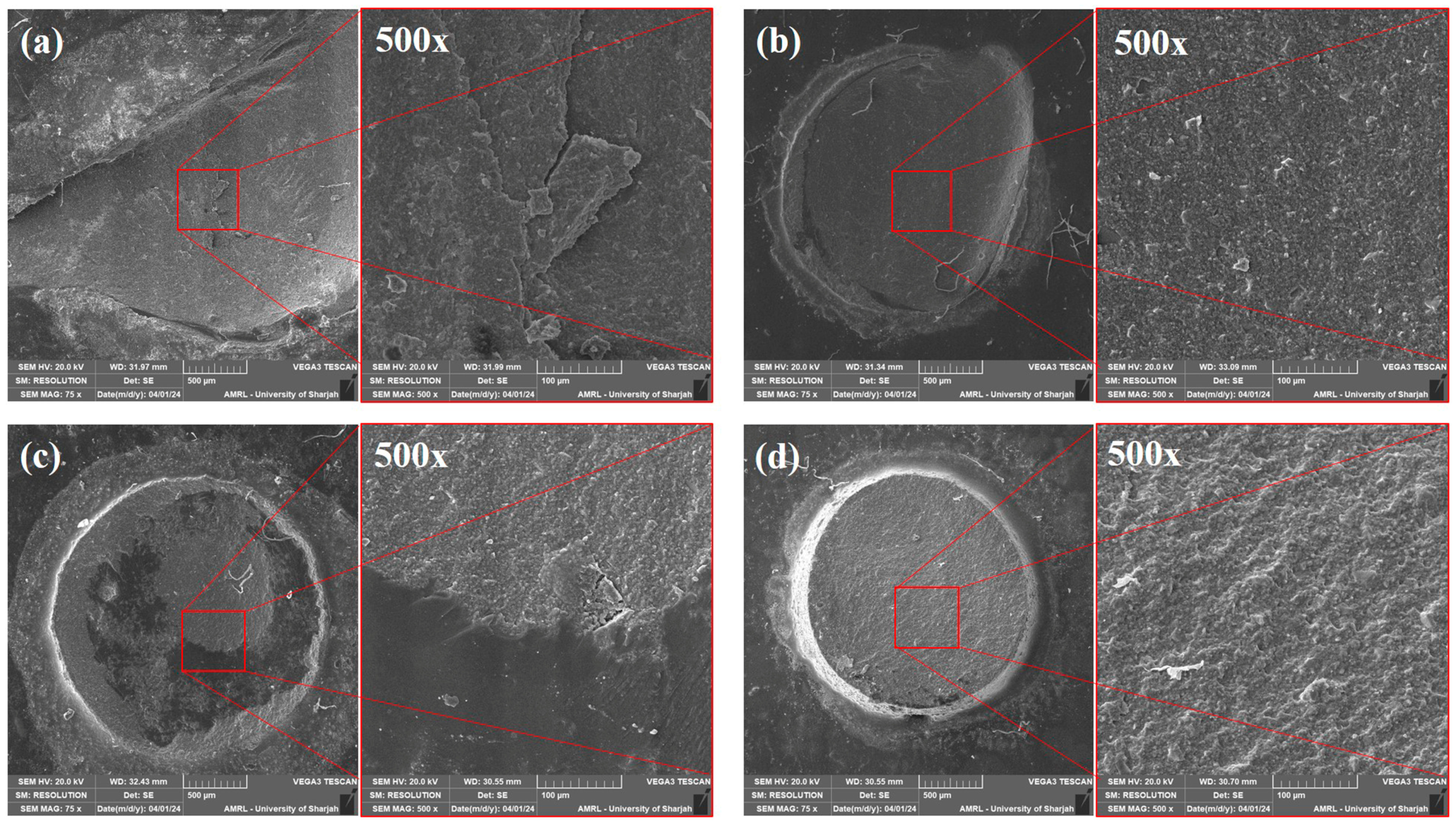 Polymers 16 01488 g008