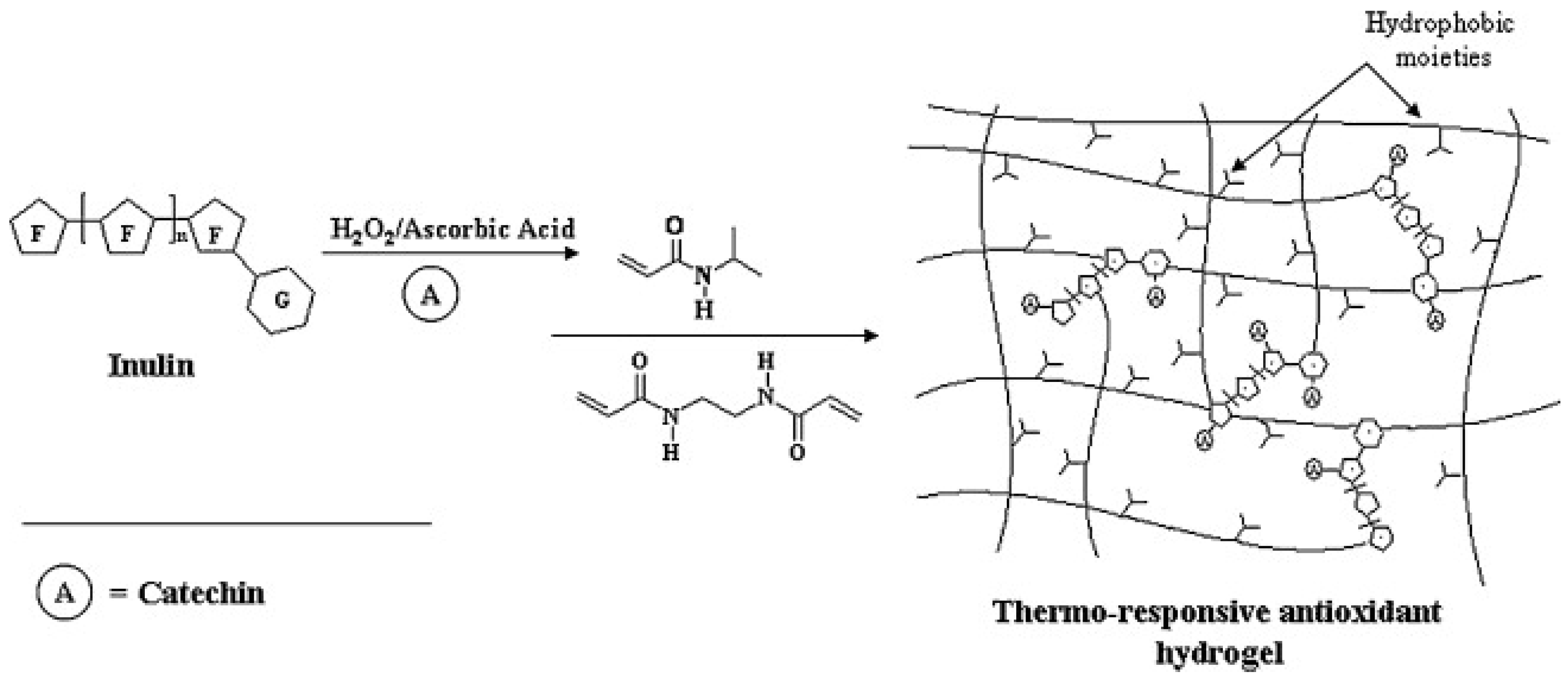 Polymers 16 01492 g004