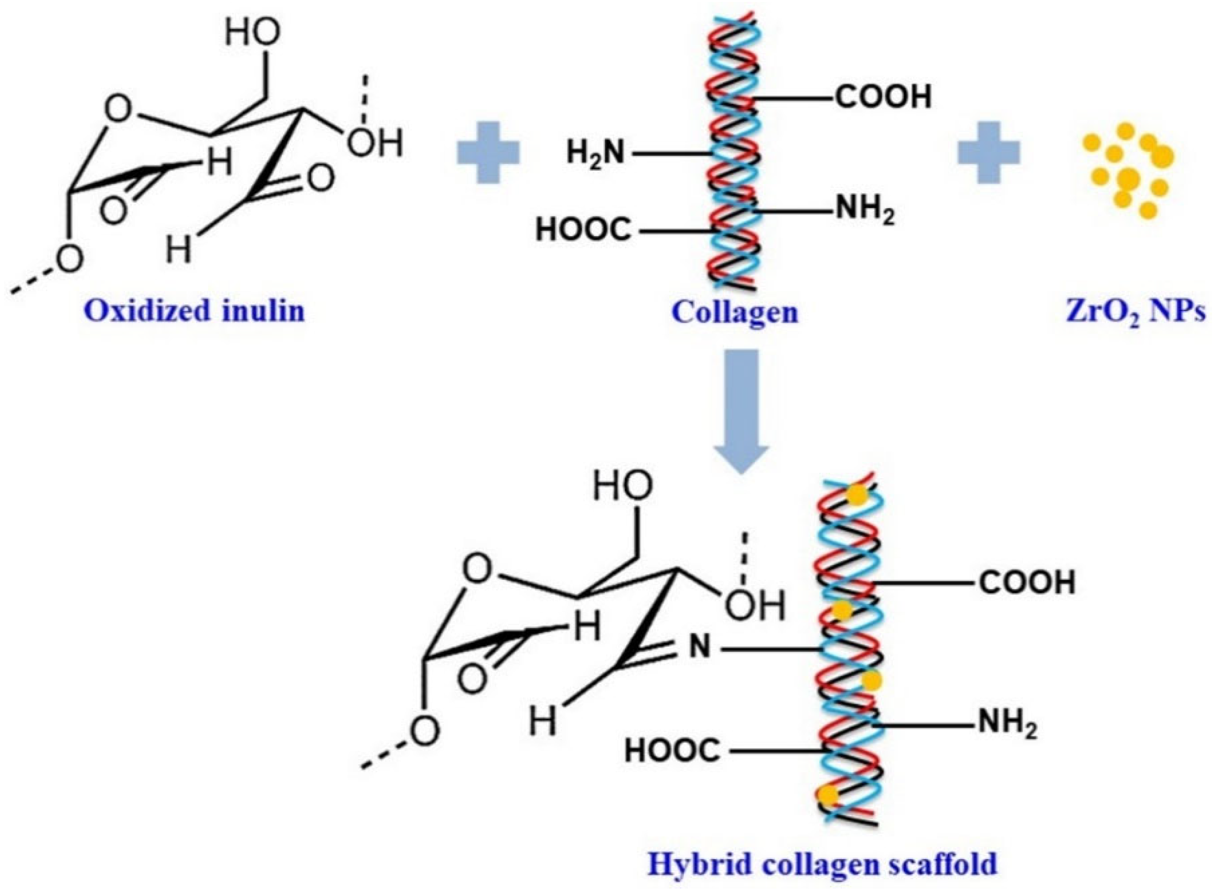 Polymers 16 01492 g005
