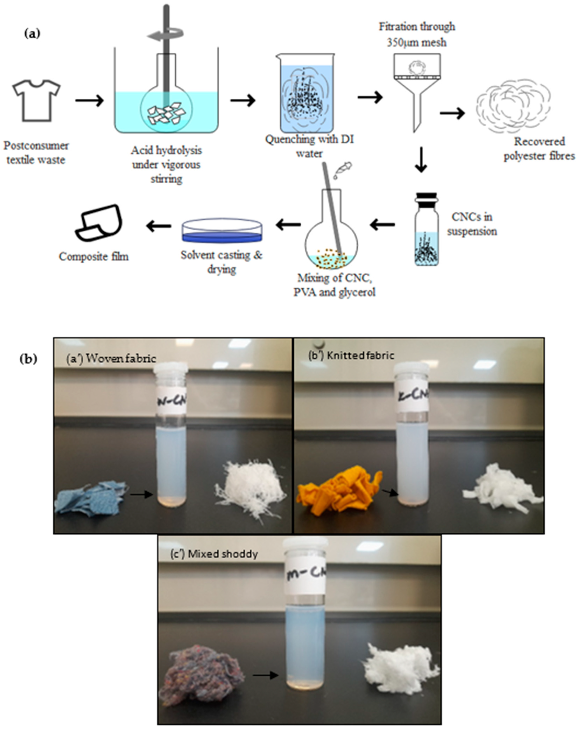 Polymers 16 01495 g001
