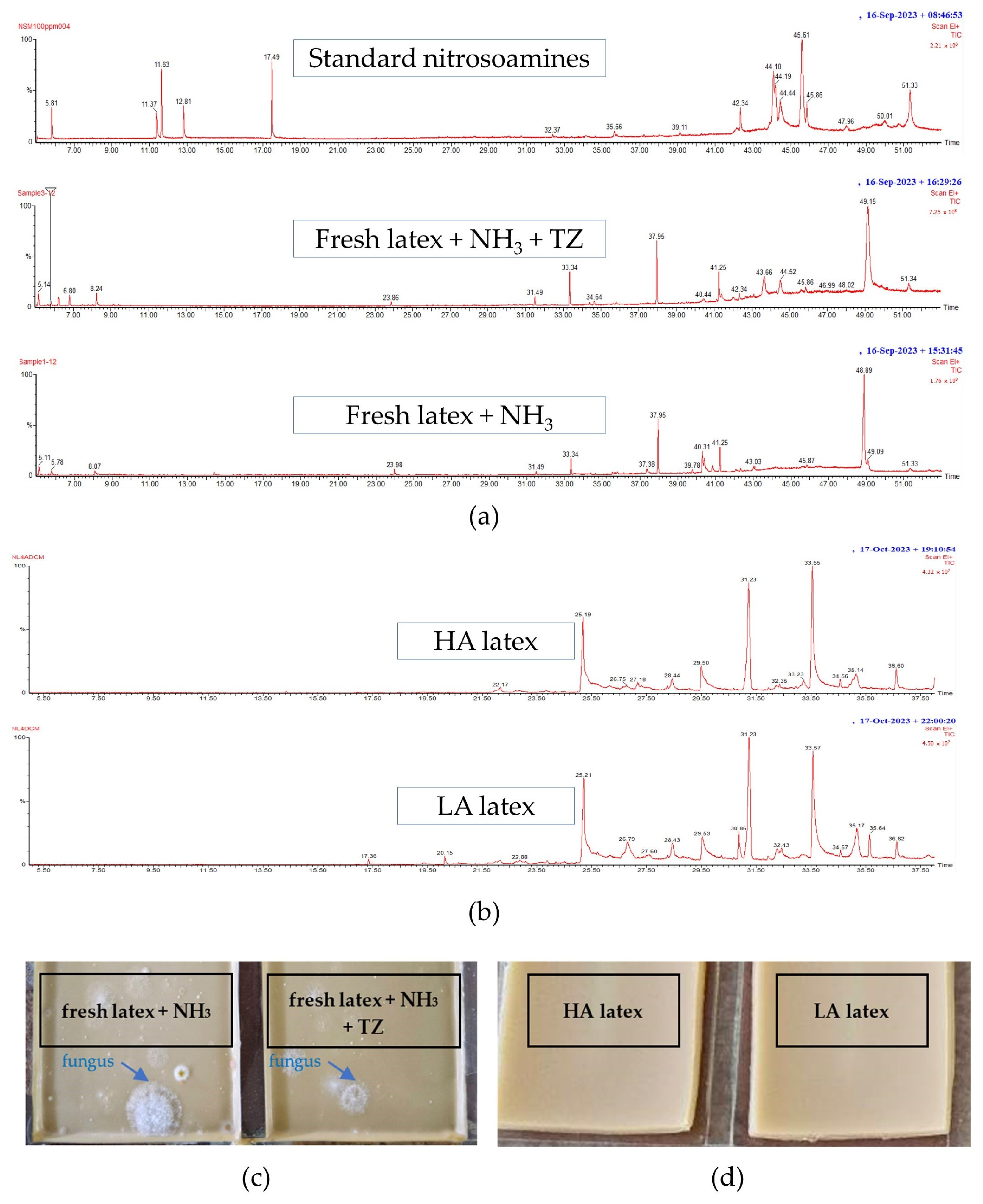Polymers 16 01499 g003