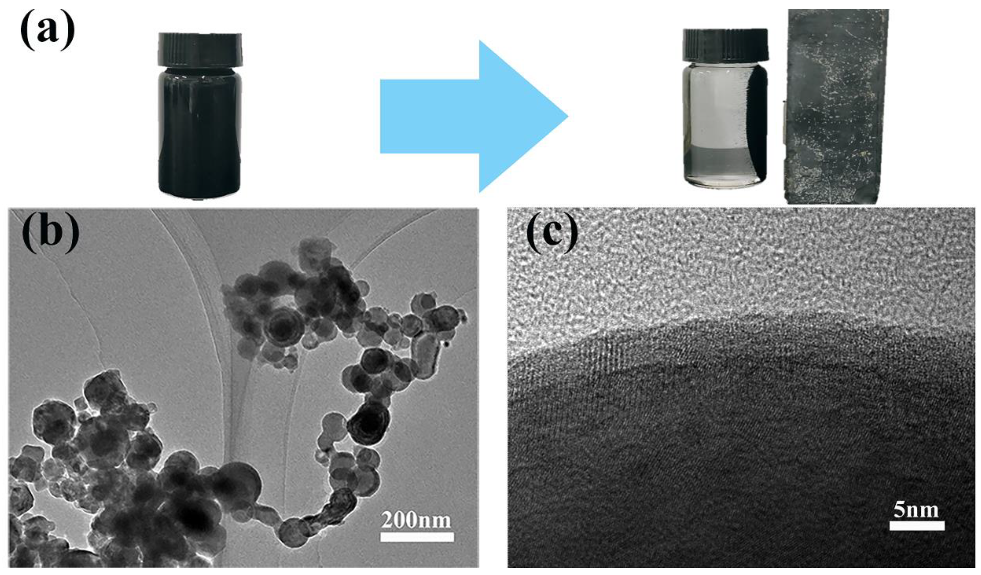Polymers 16 01506 g002