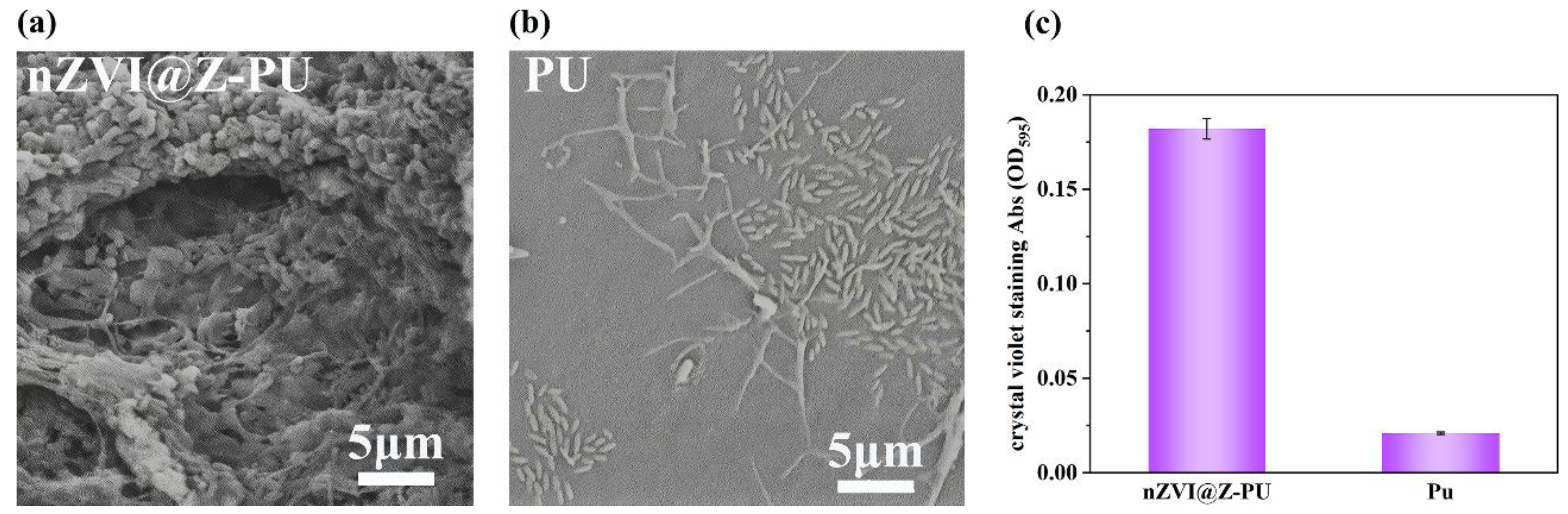 Polymers 16 01506 g005