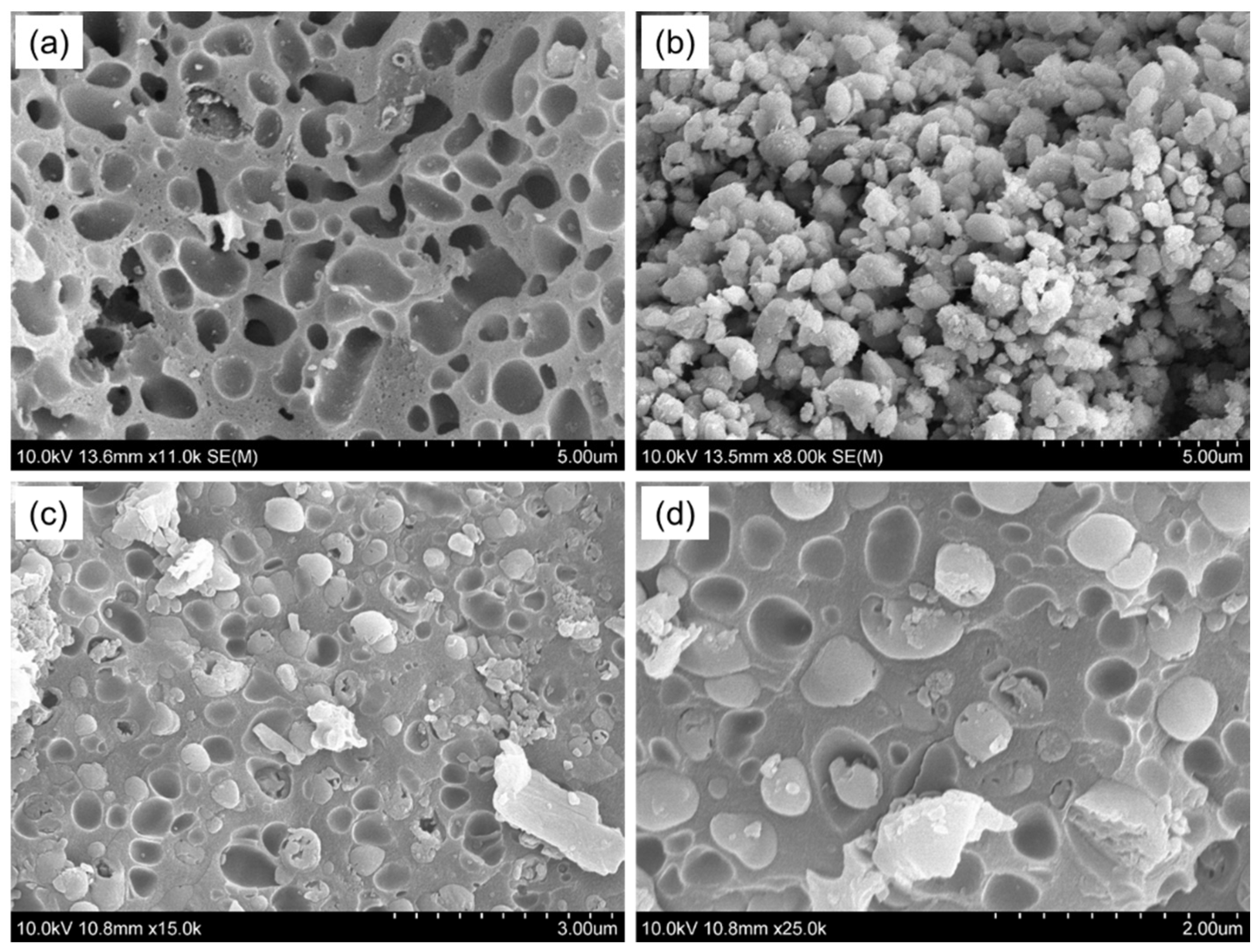 Polymers 16 01513 g004 Polymers 16 01513 g004