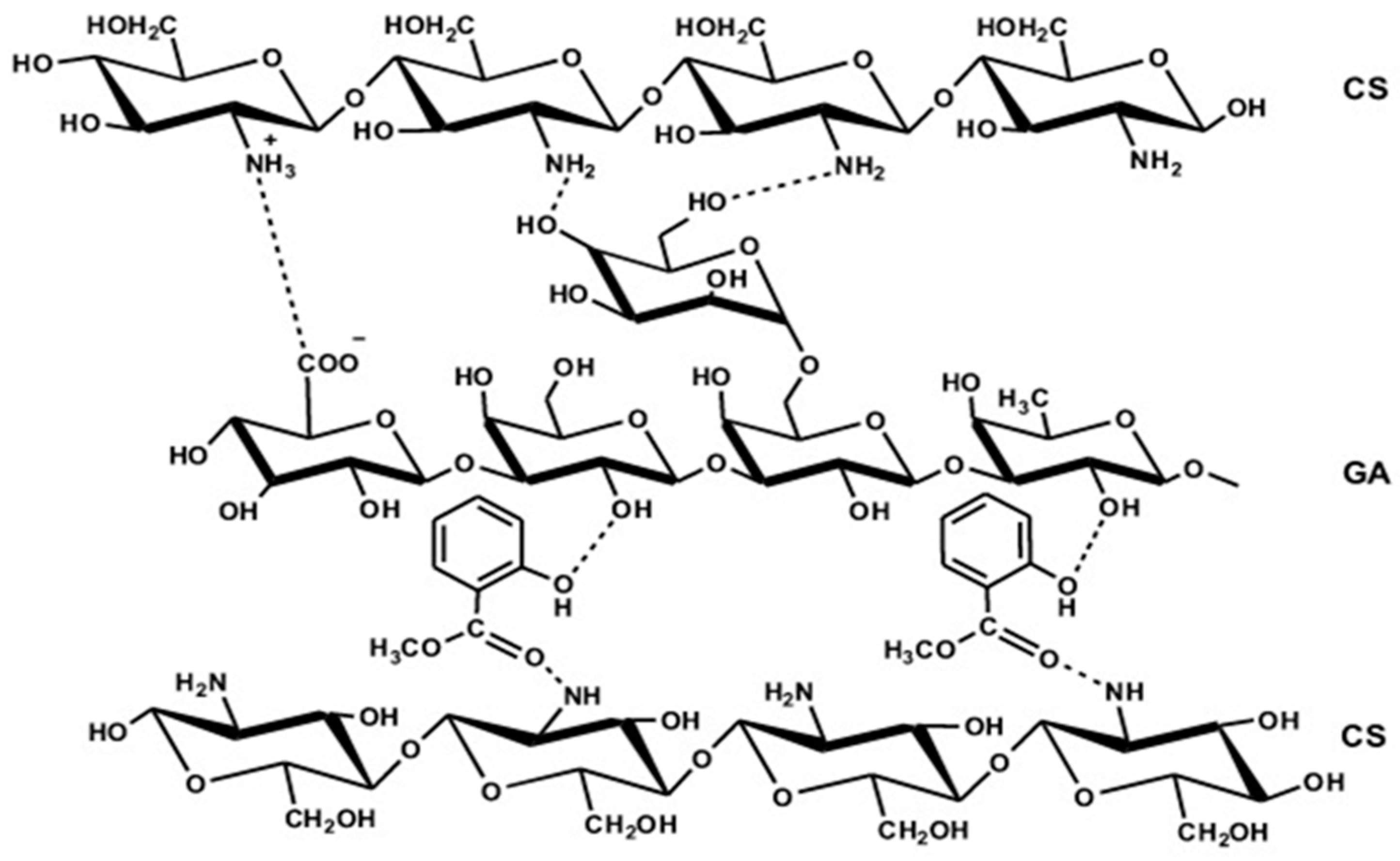 Polymers 16 01518 g002