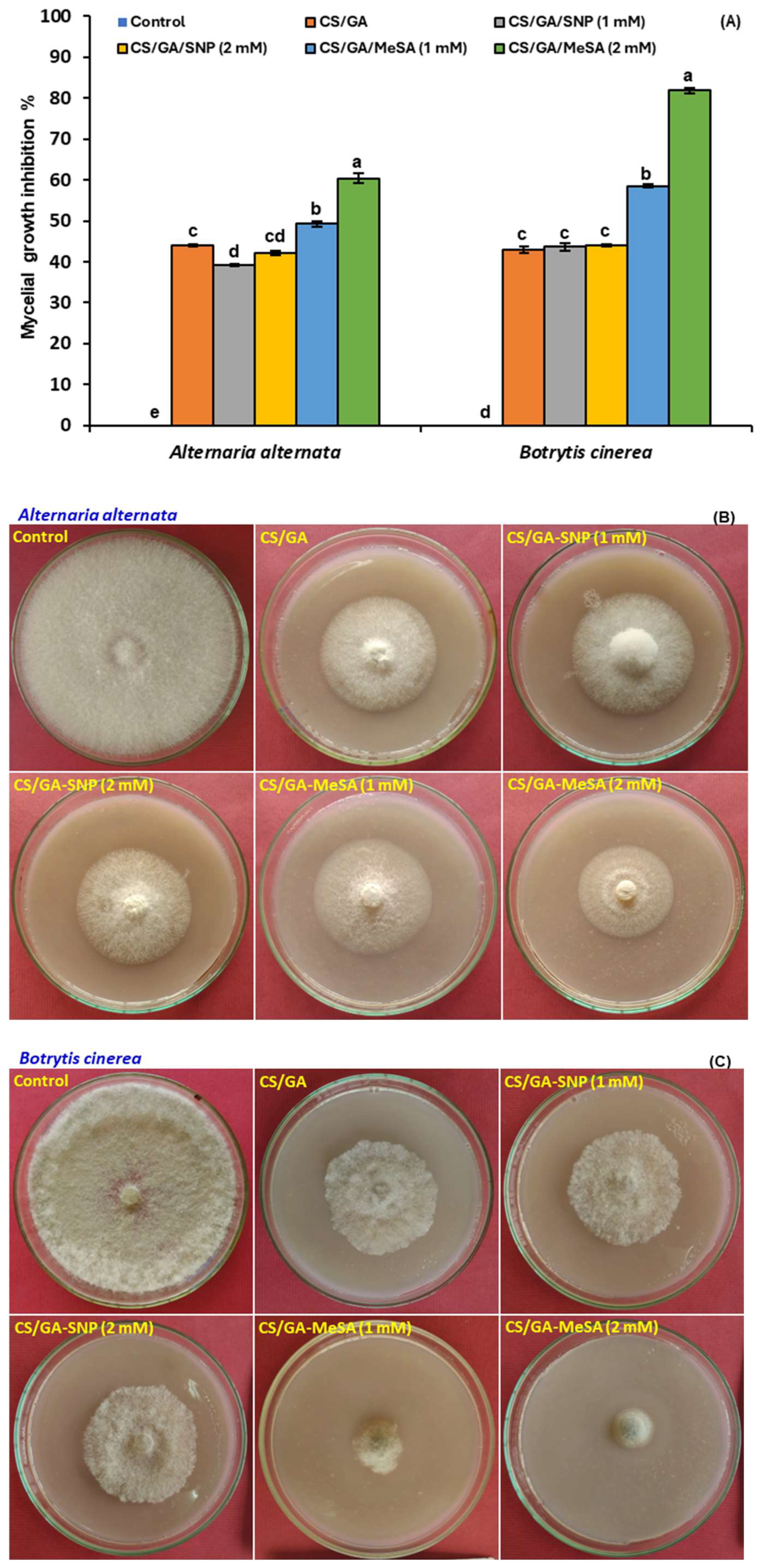 Polymers 16 01518 g004