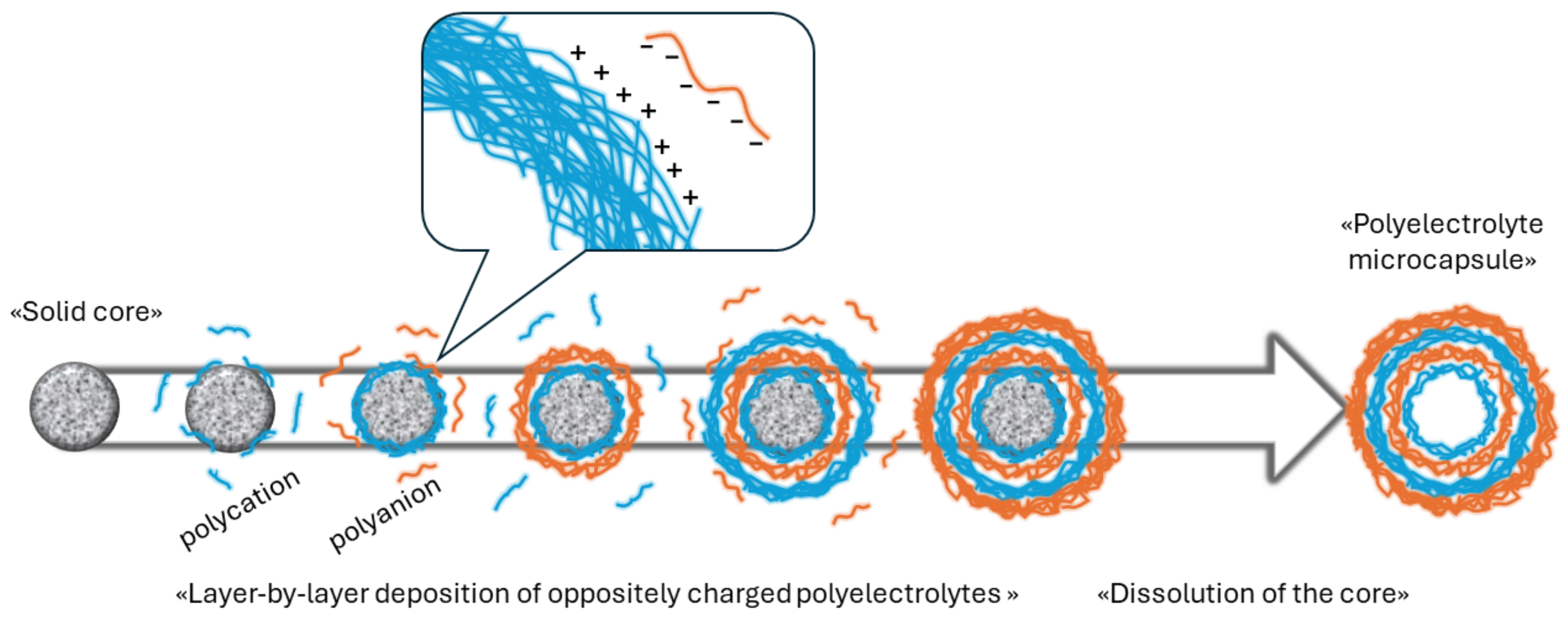 Polymers 16 01521 g001