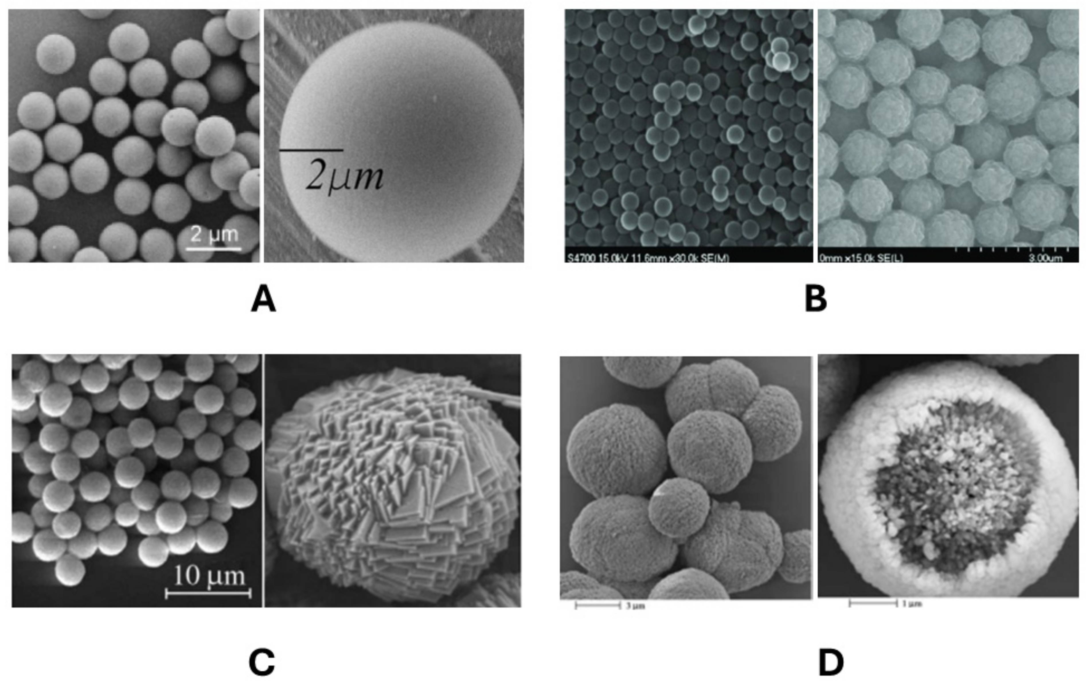 Polymers 16 01521 g002