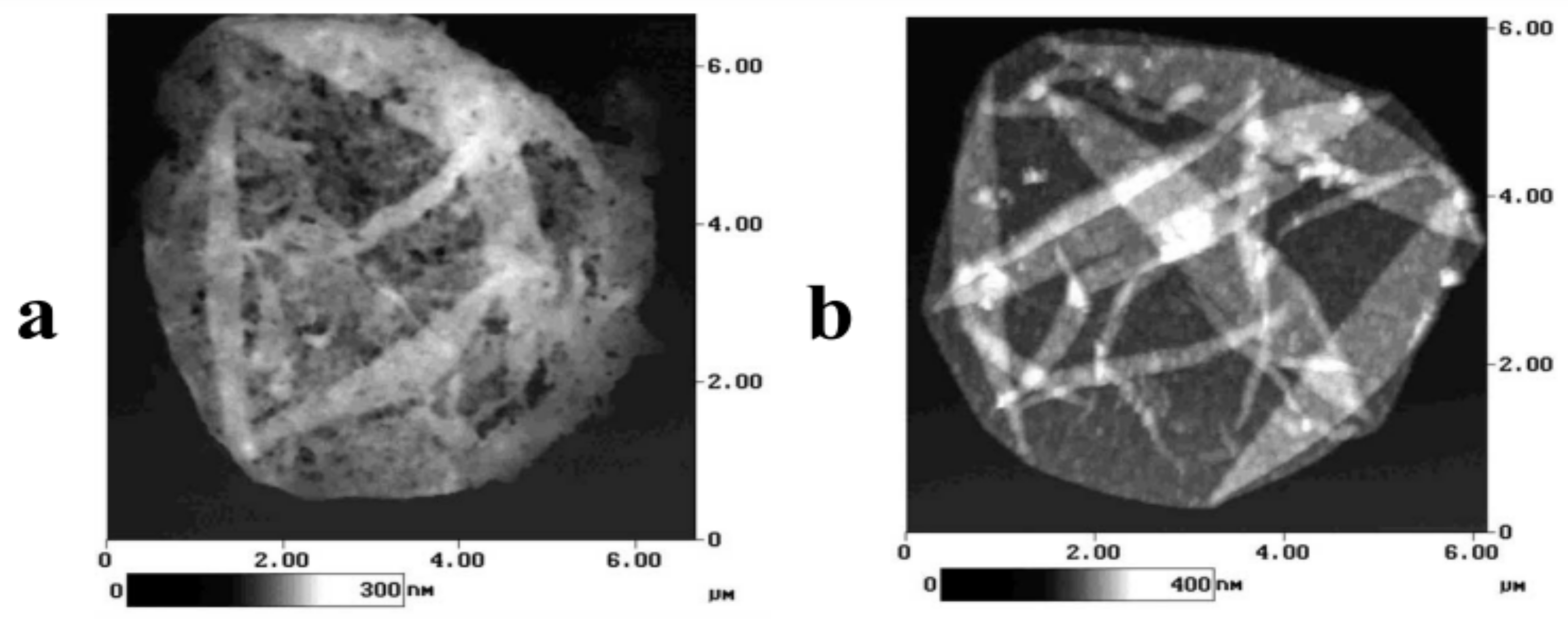 Polymers 16 01521 g003