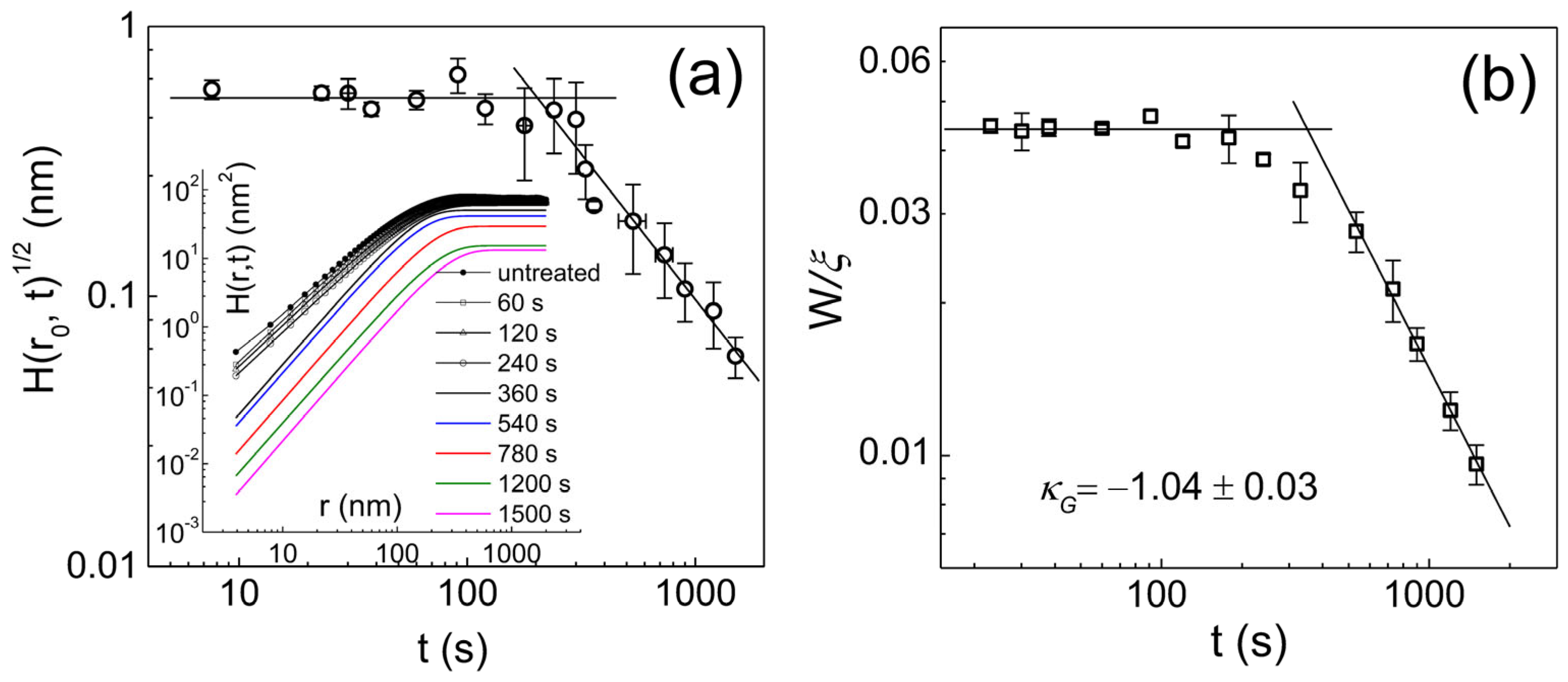 Polymers 16 01535 g005