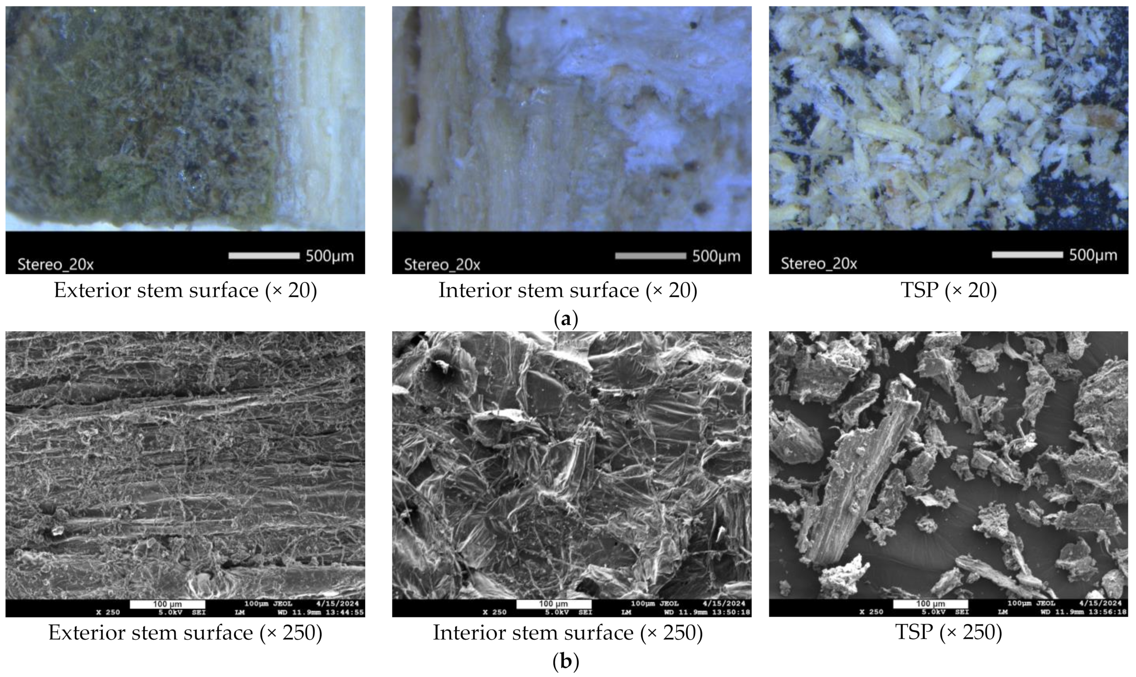 Polymers 16 01536 g005a
