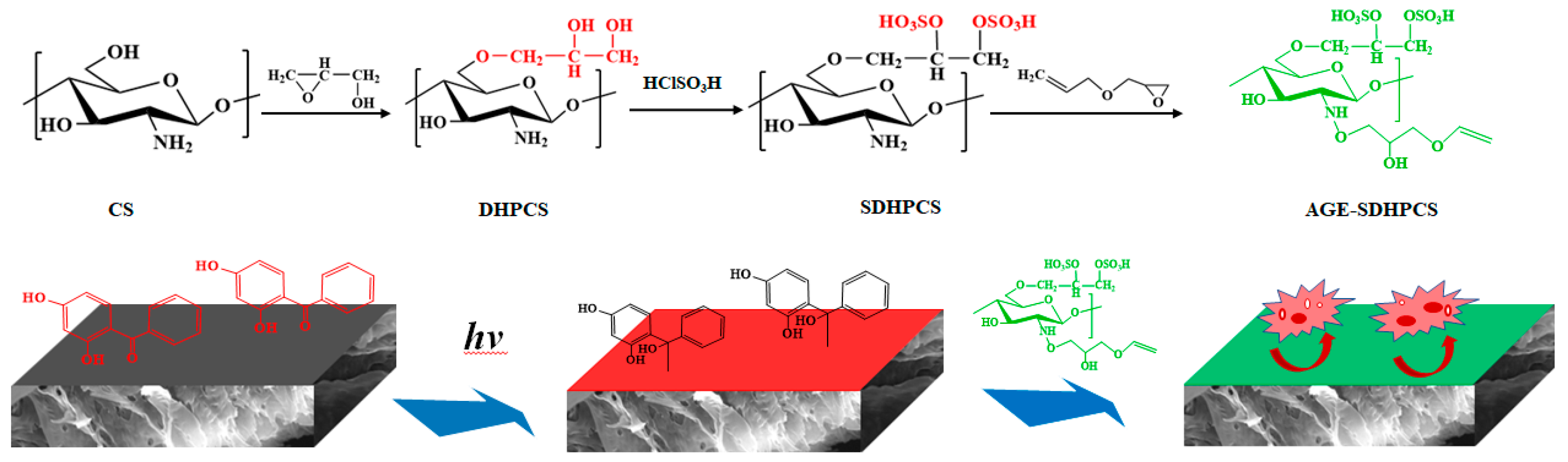 Polymers 16 01555 sch001