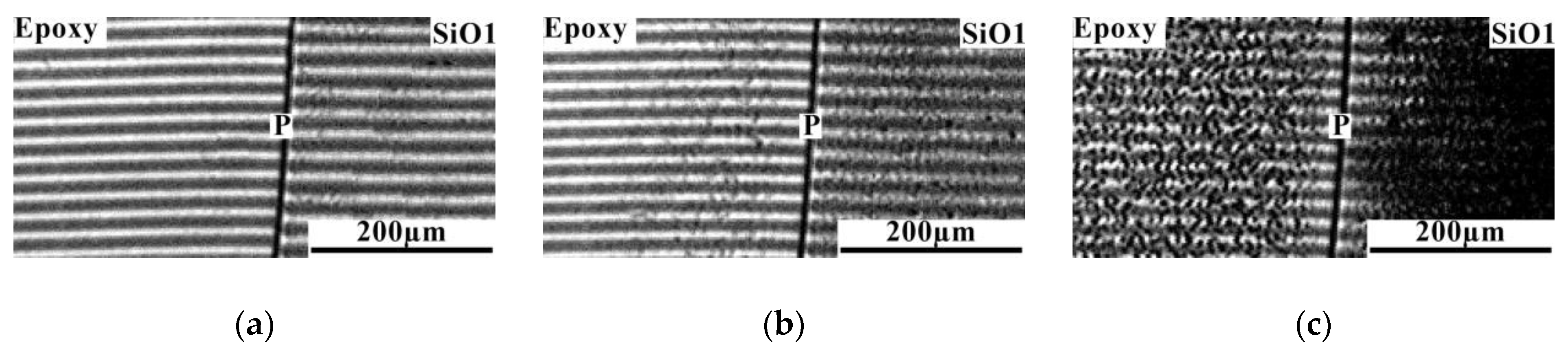 Polymers 16 01571 g008