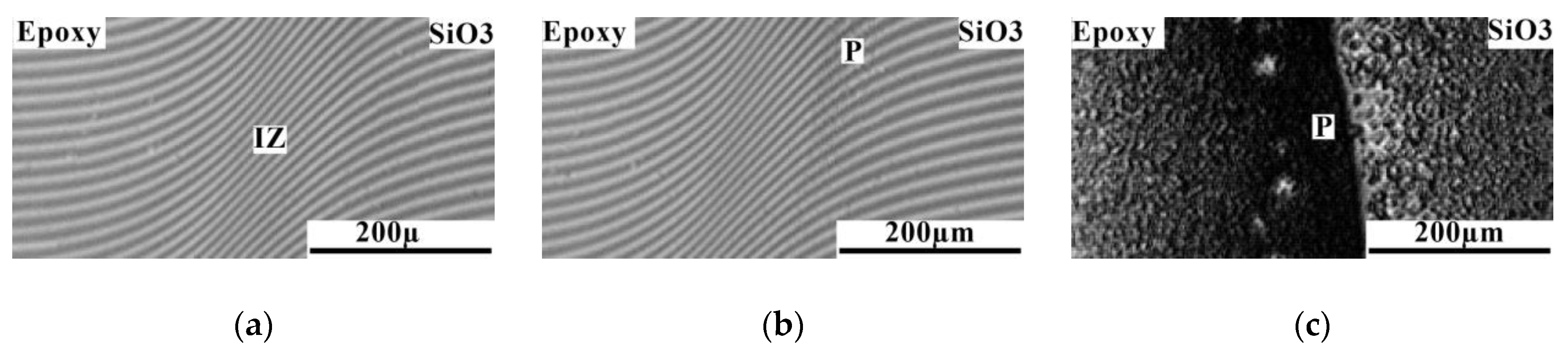 Polymers 16 01571 g010