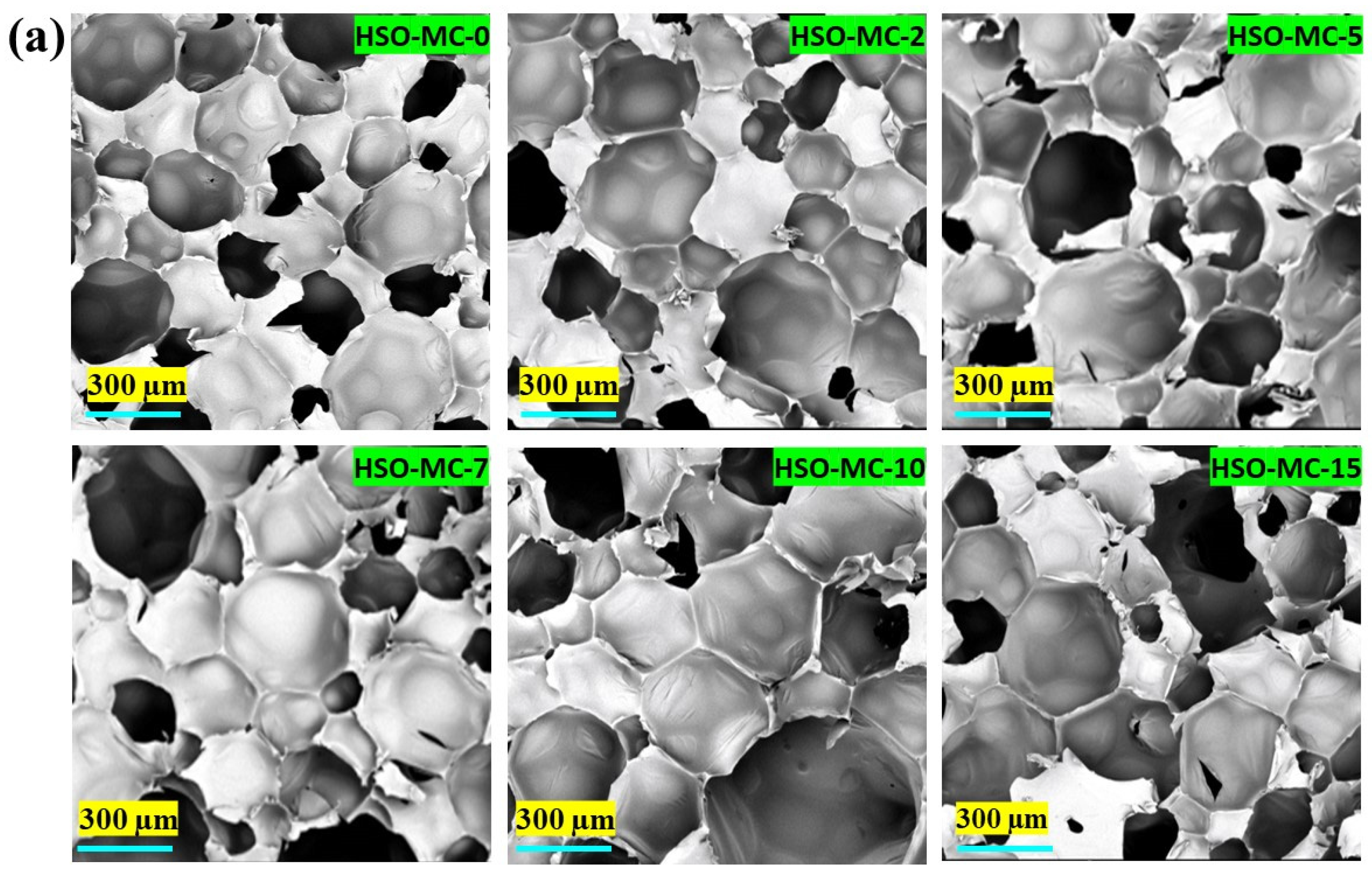 Polymers 16 01584 g007a