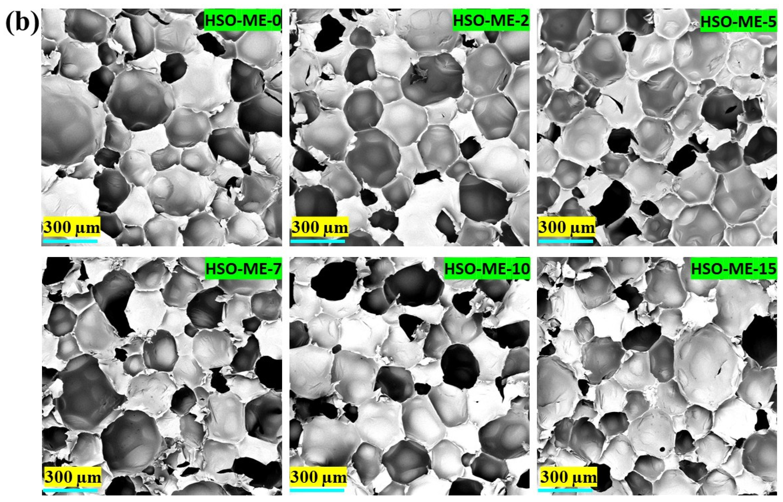 Polymers 16 01584 g007b