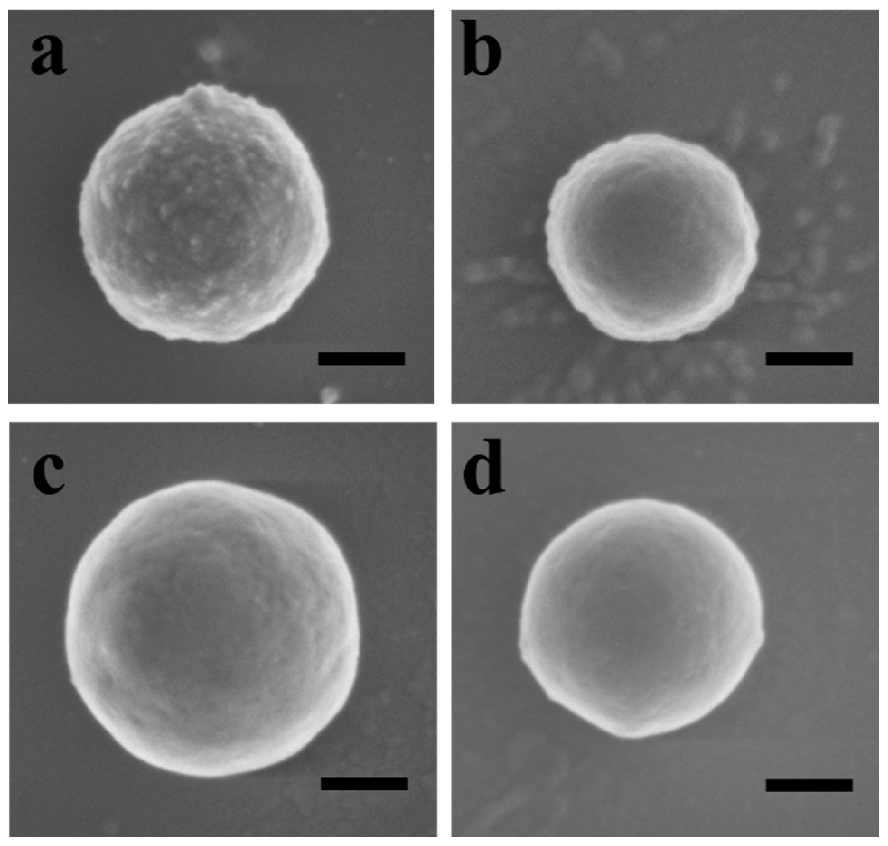 Polymers 16 01587 g003