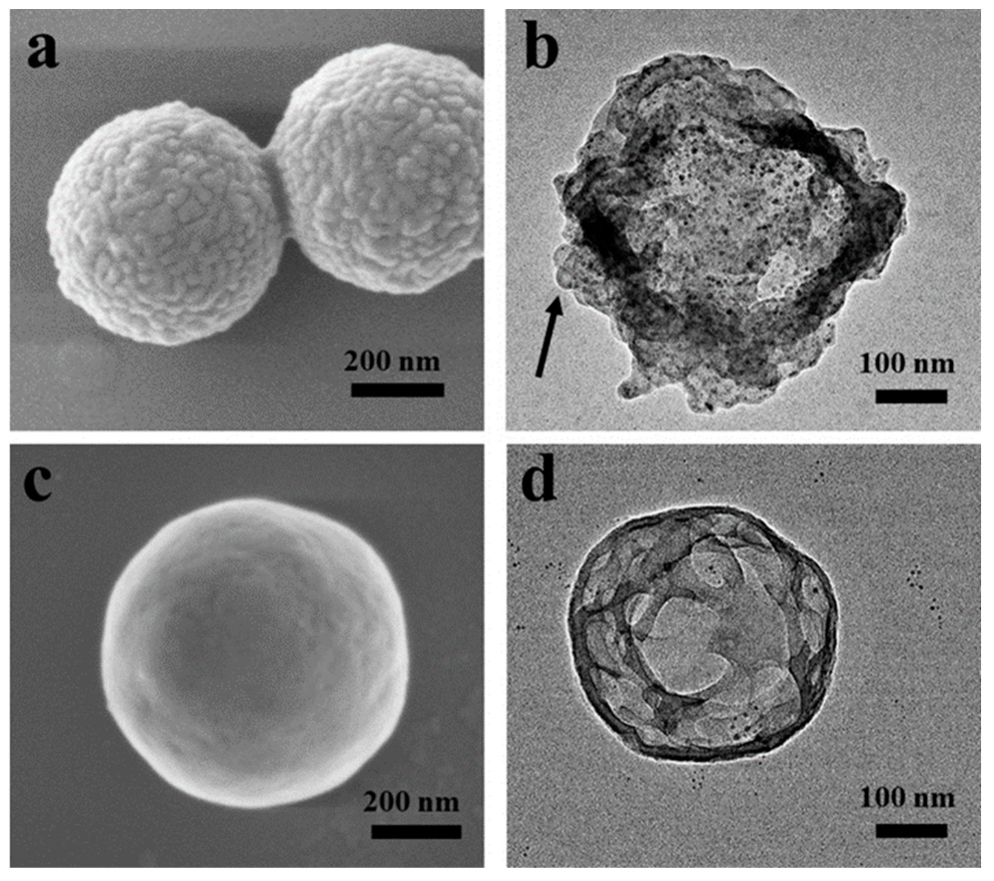 Polymers 16 01587 g005
