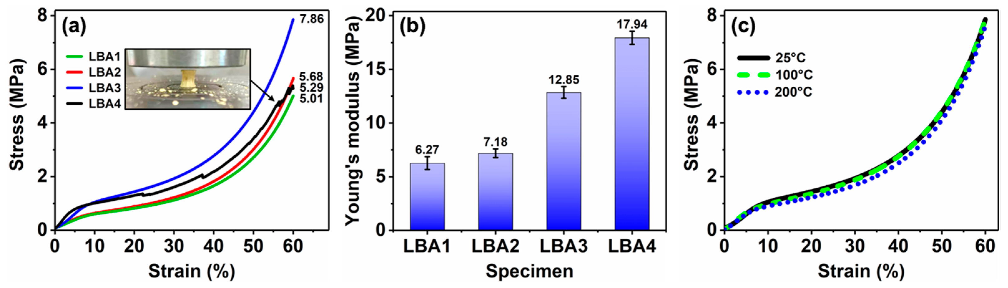 Polymers 16 01593 g007