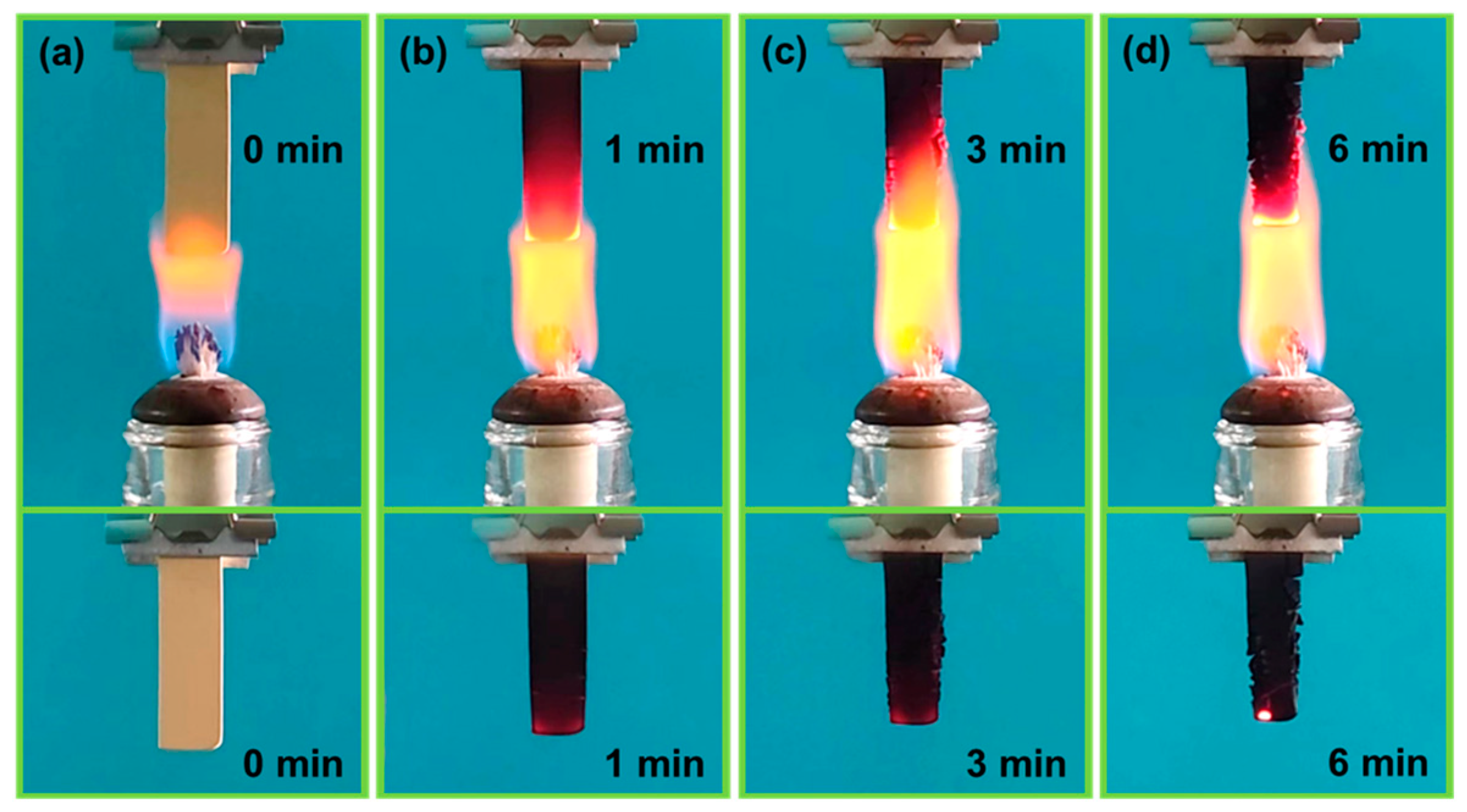 Polymers 16 01593 g008
