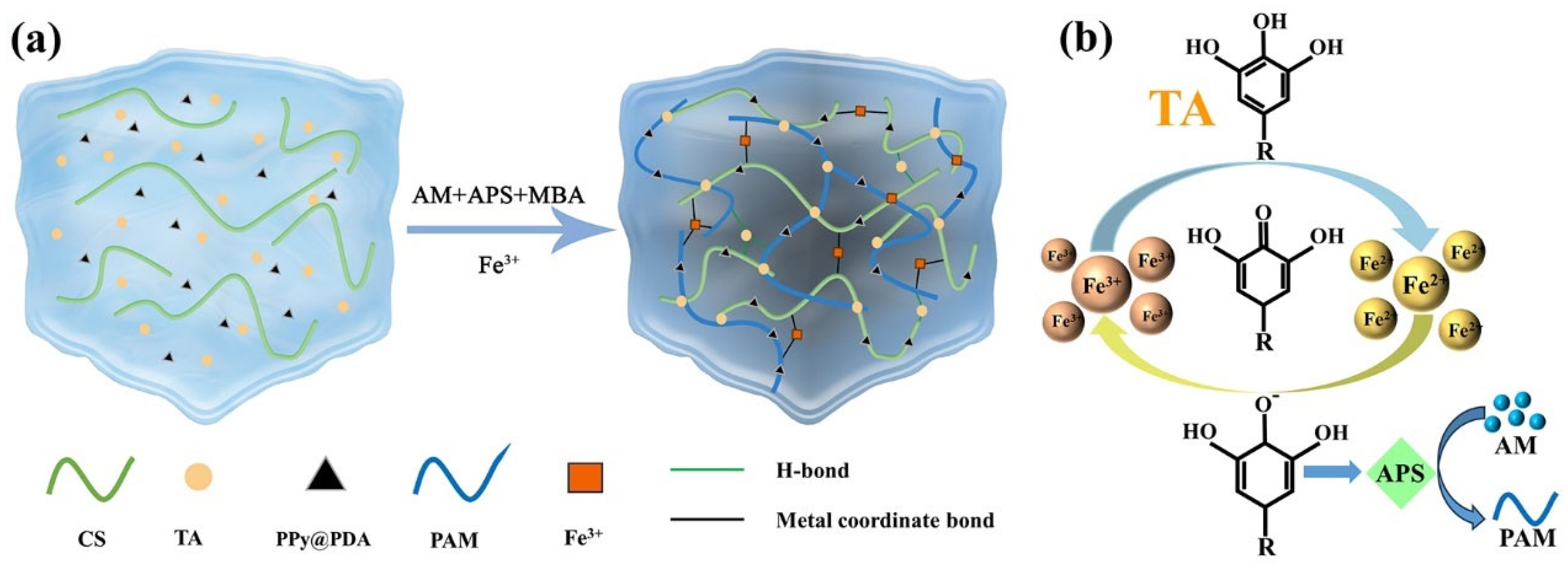Polymers 16 01595 g001