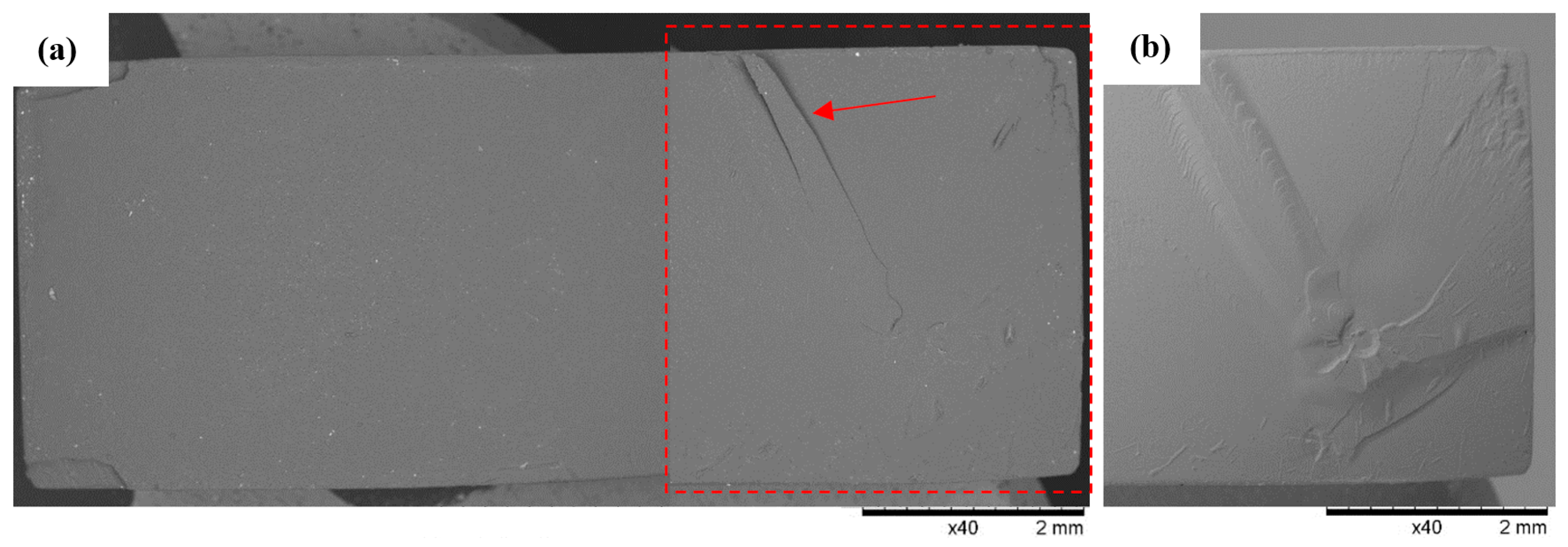 Polymers 16 01607 g012