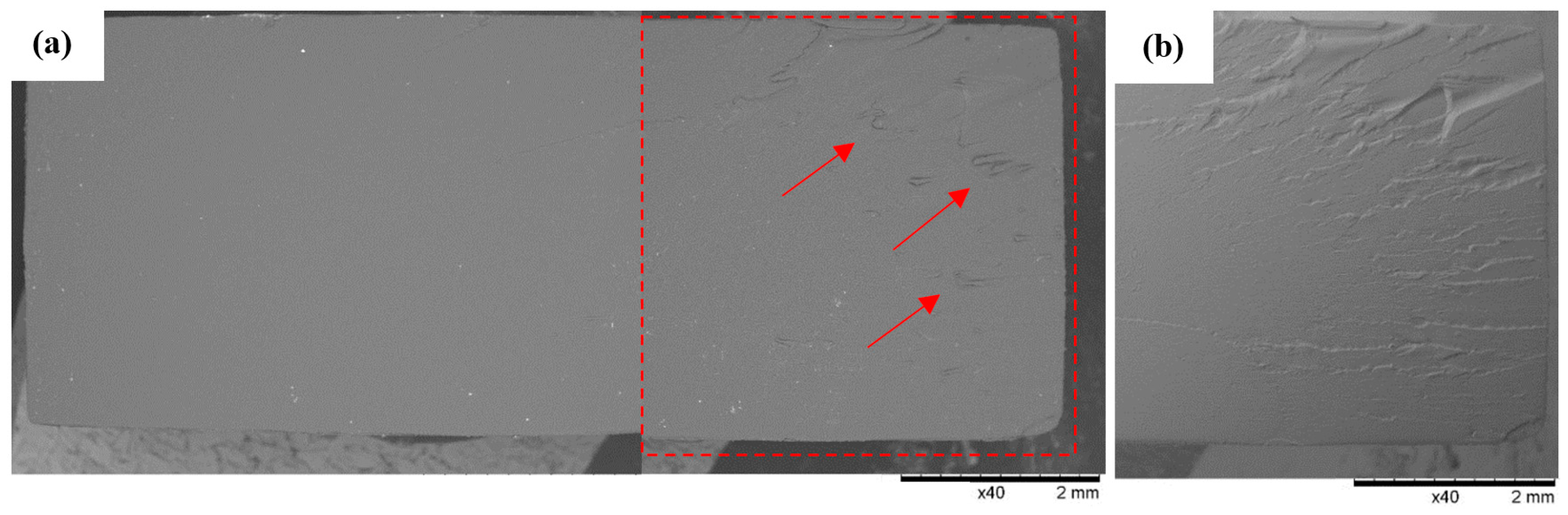 Polymers 16 01607 g018