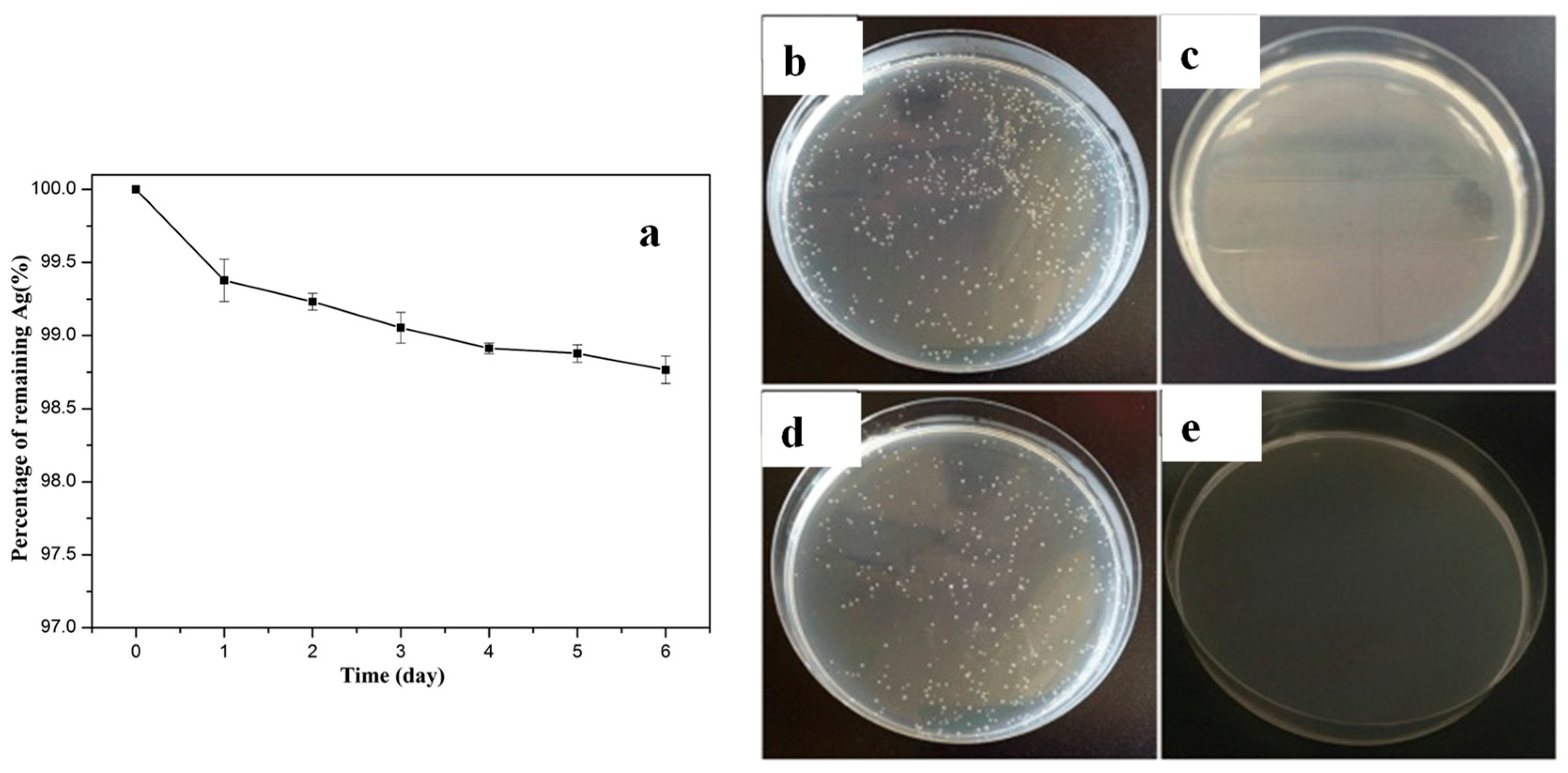 Polymers 16 01611 g004
