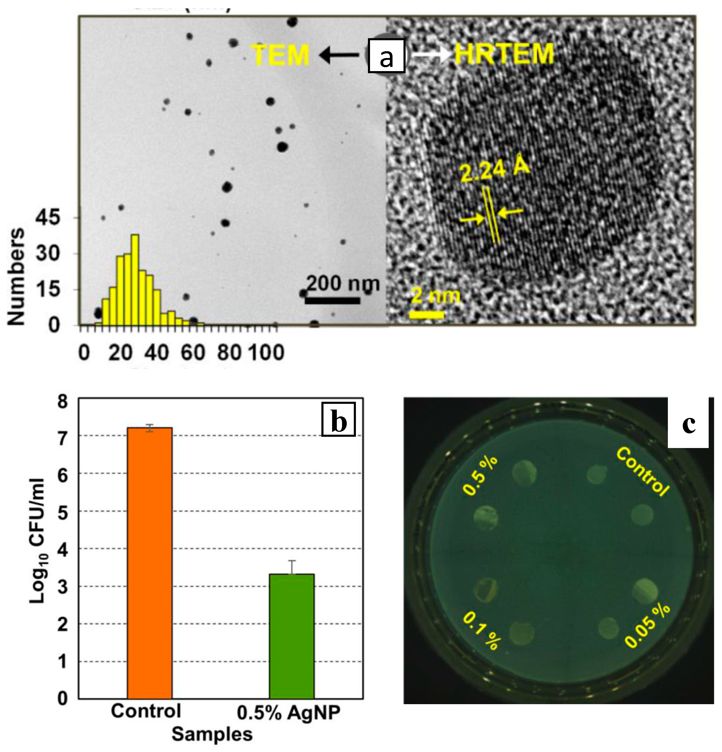 Polymers 16 01611 g010