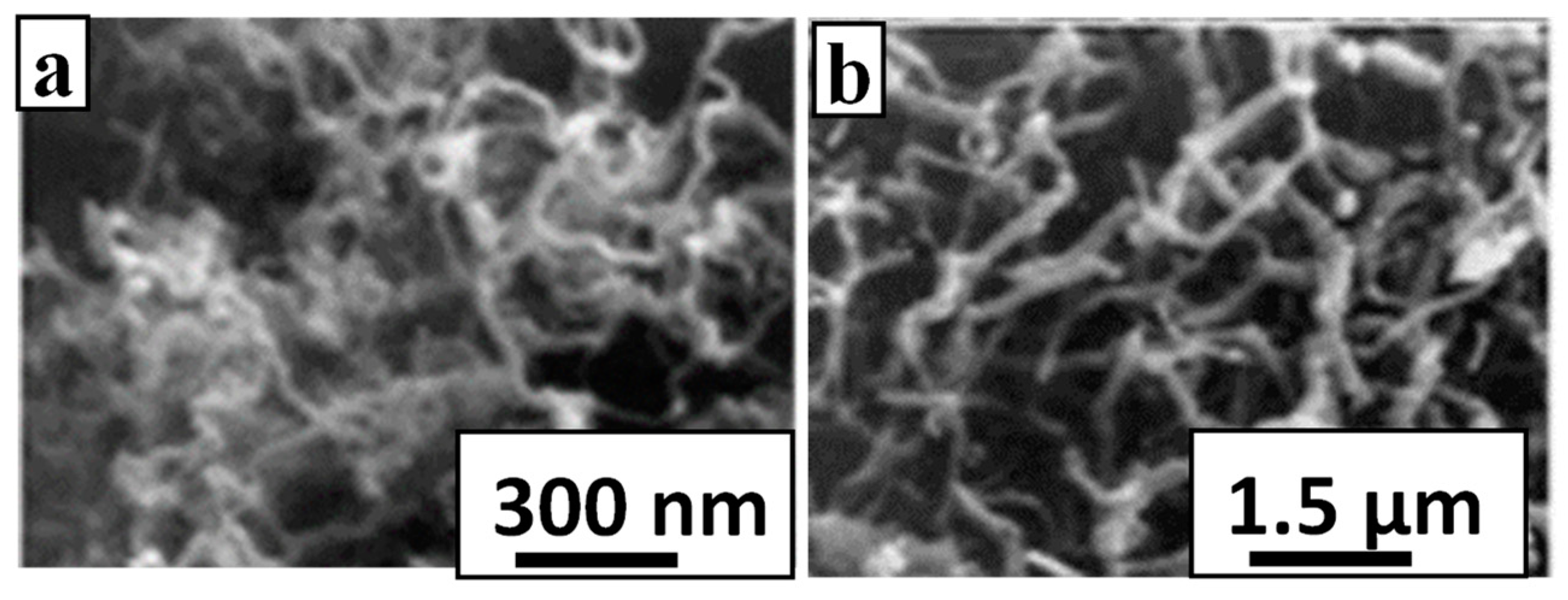 Polymers 16 01611 g011