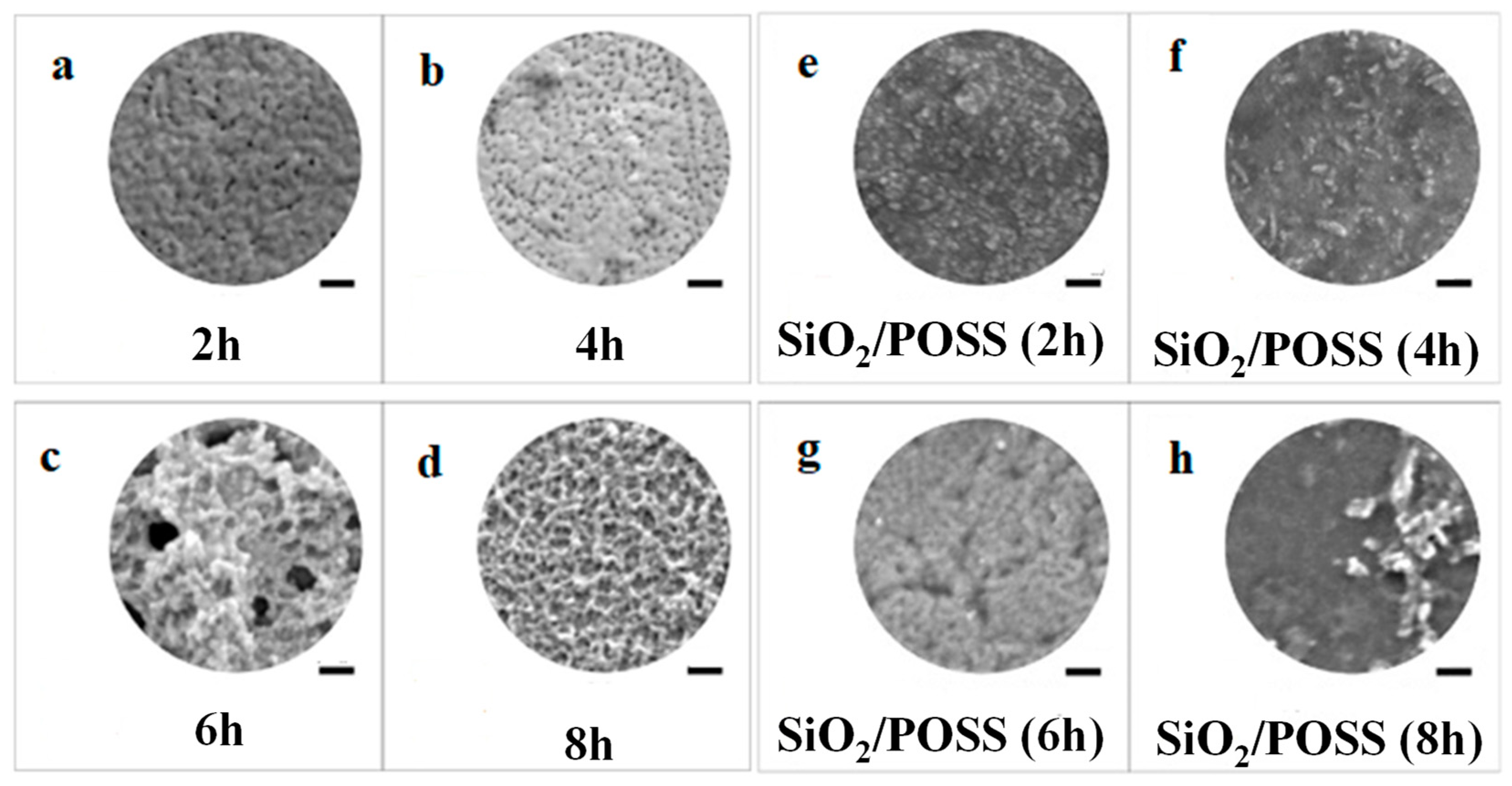 Polymers 16 01611 g013