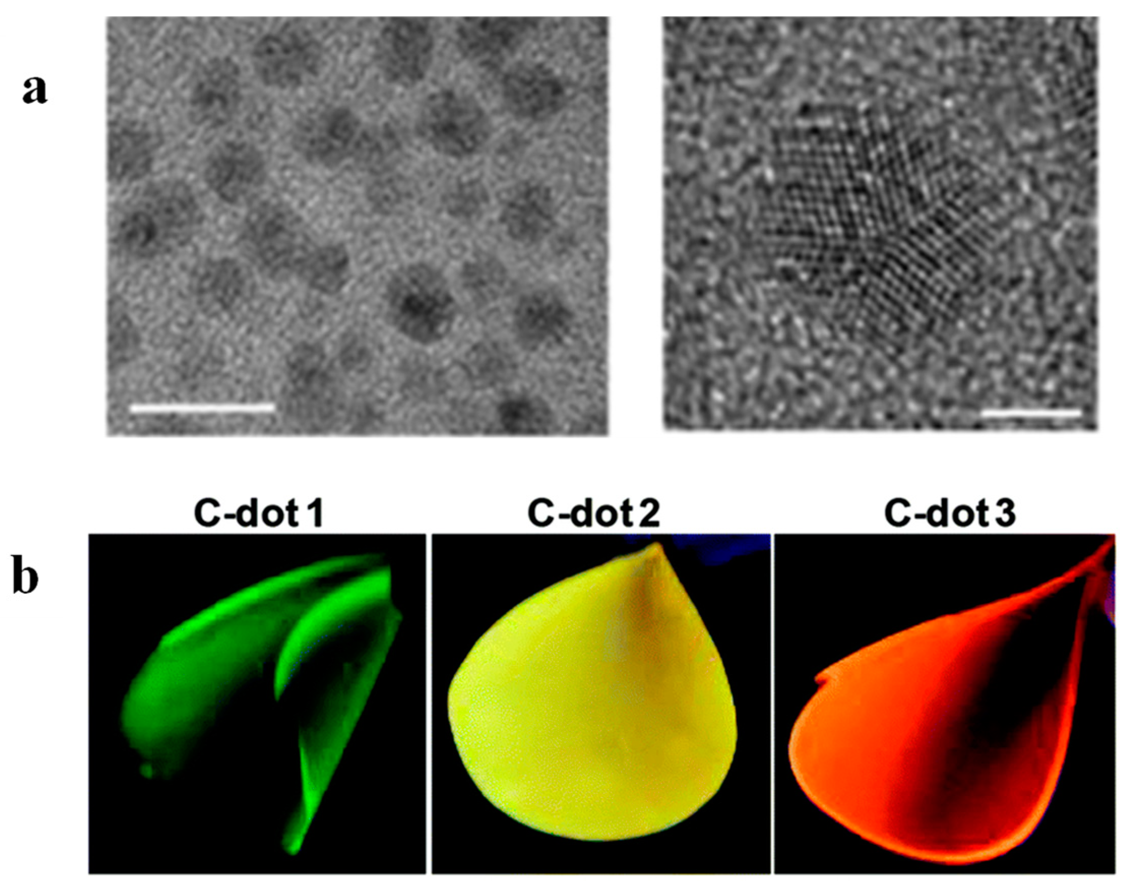 Polymers 16 01611 g017