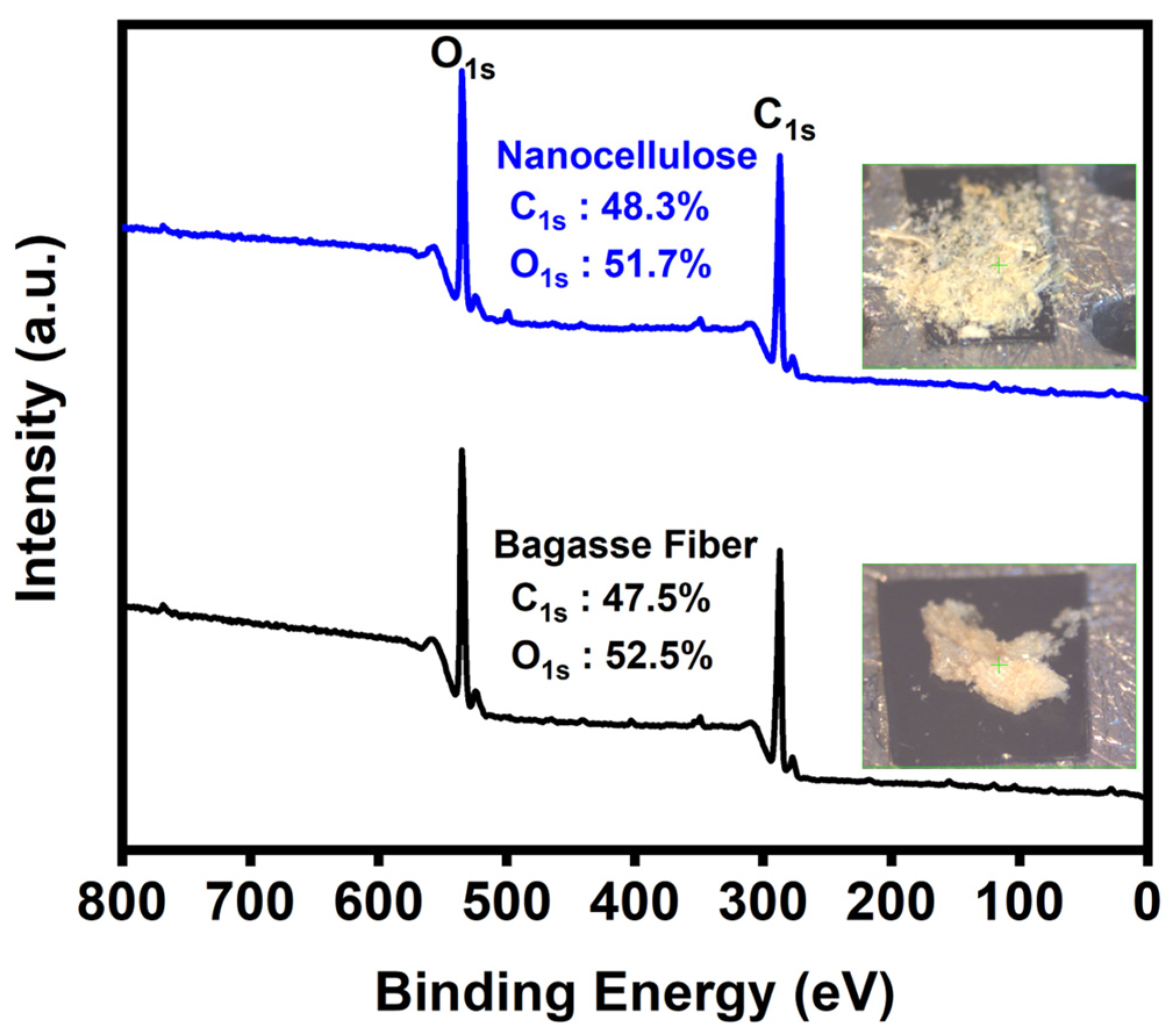 Polymers 16 01612 g005