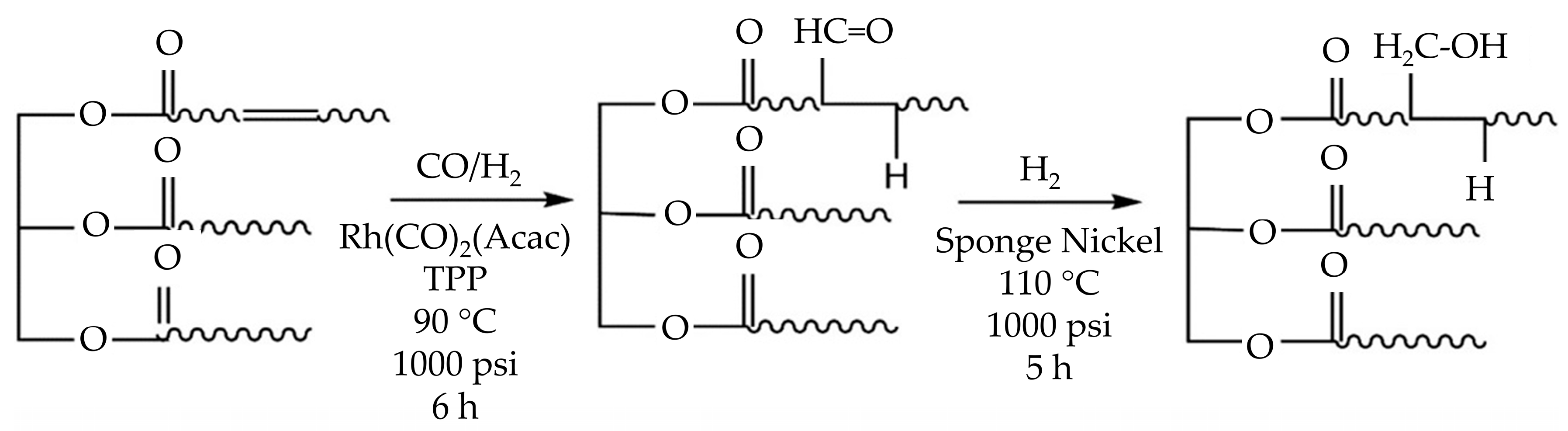 Polymers 16 01613 g003