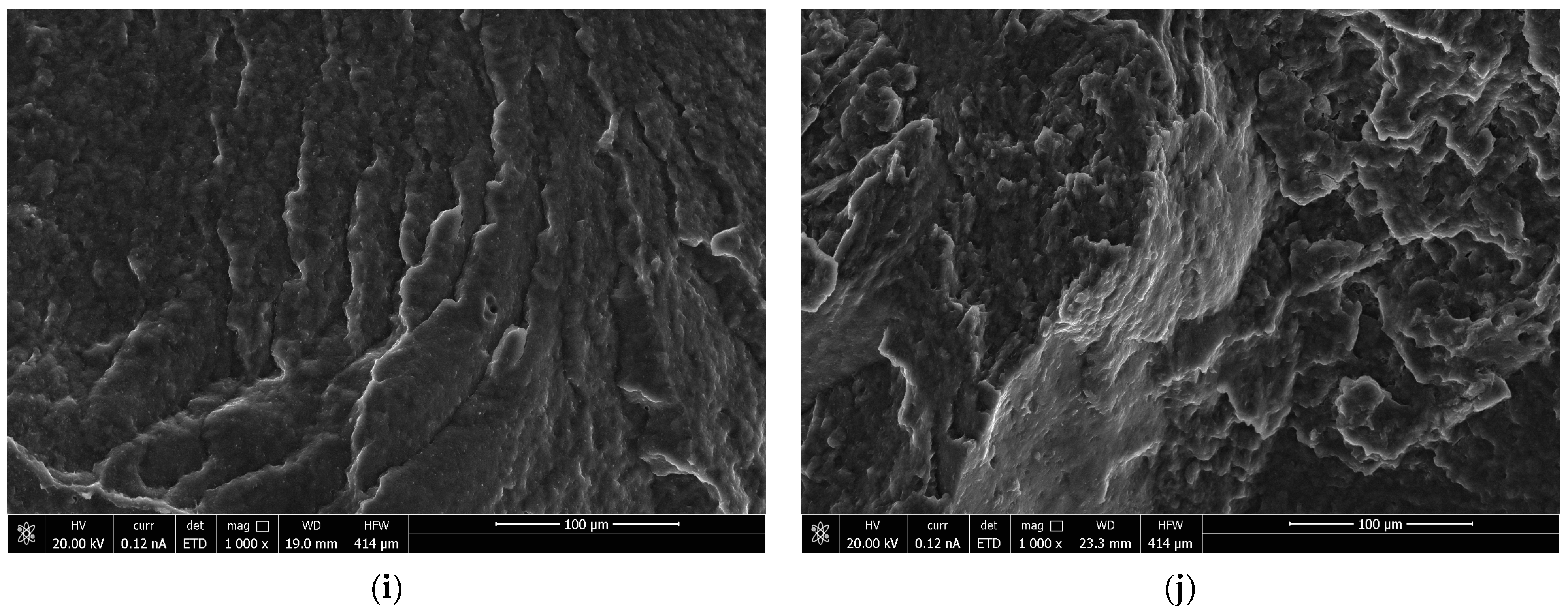 Polymers 16 01618 g004c