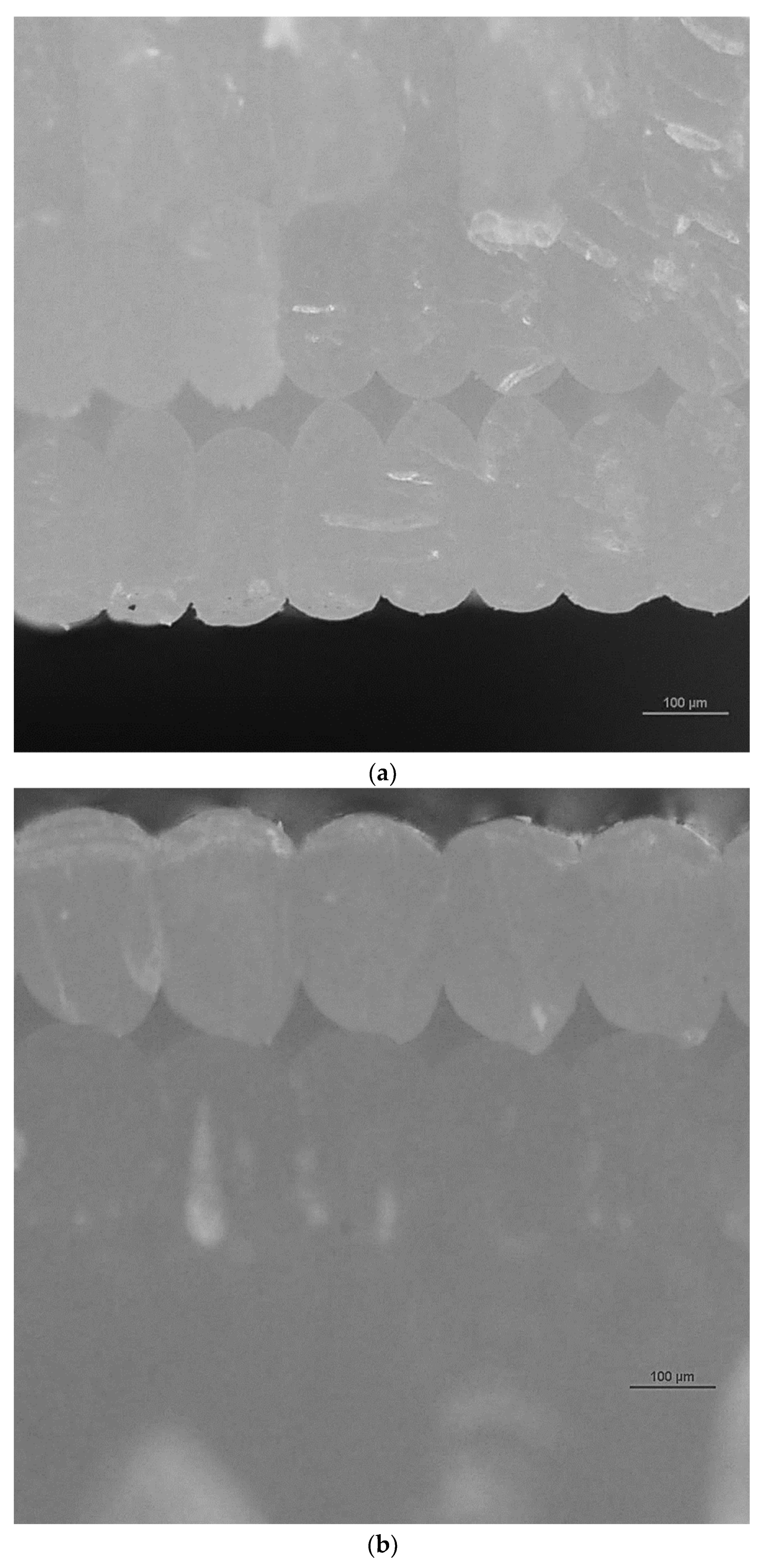 Polymers 16 01619 g007a