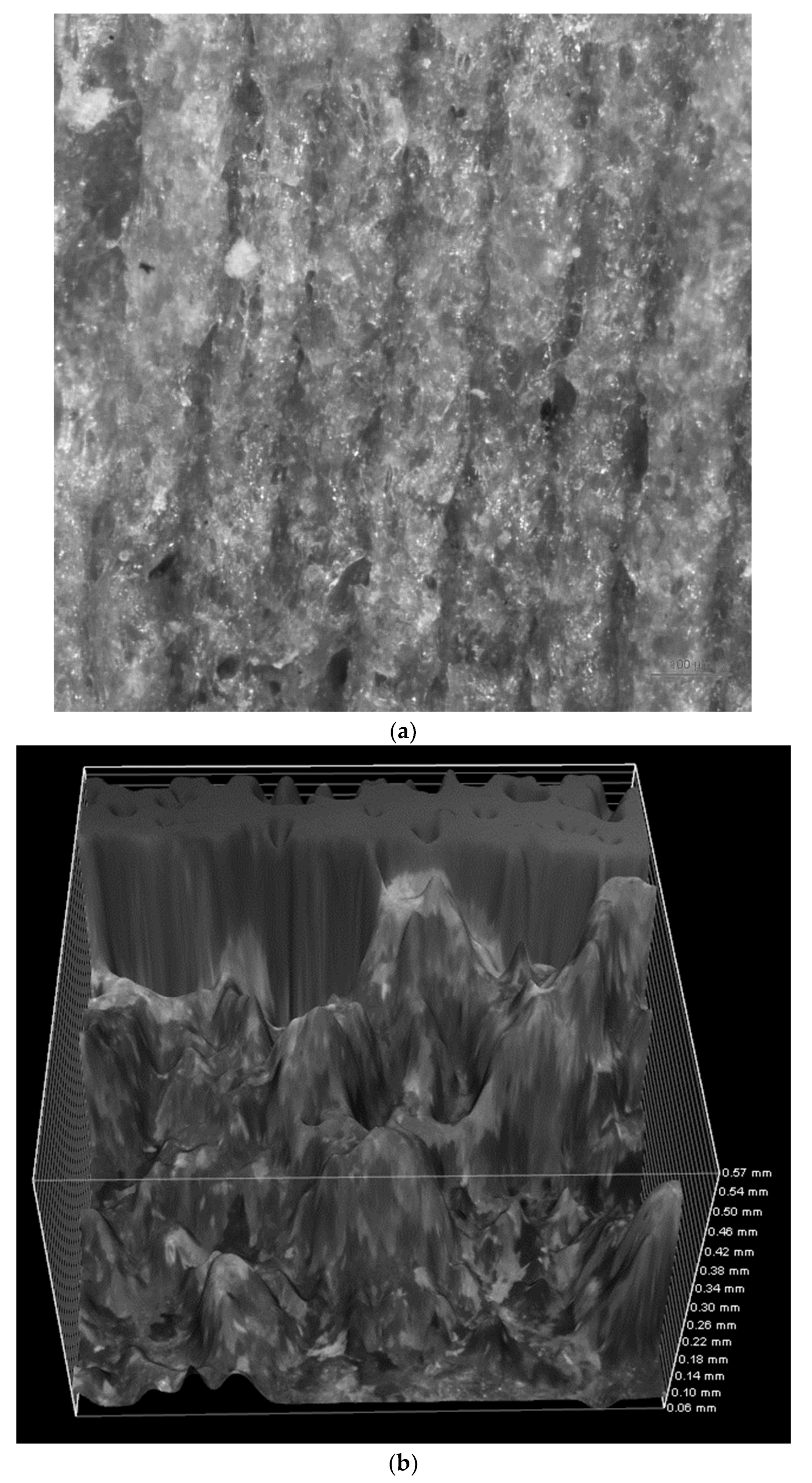 Polymers 16 01619 g009a