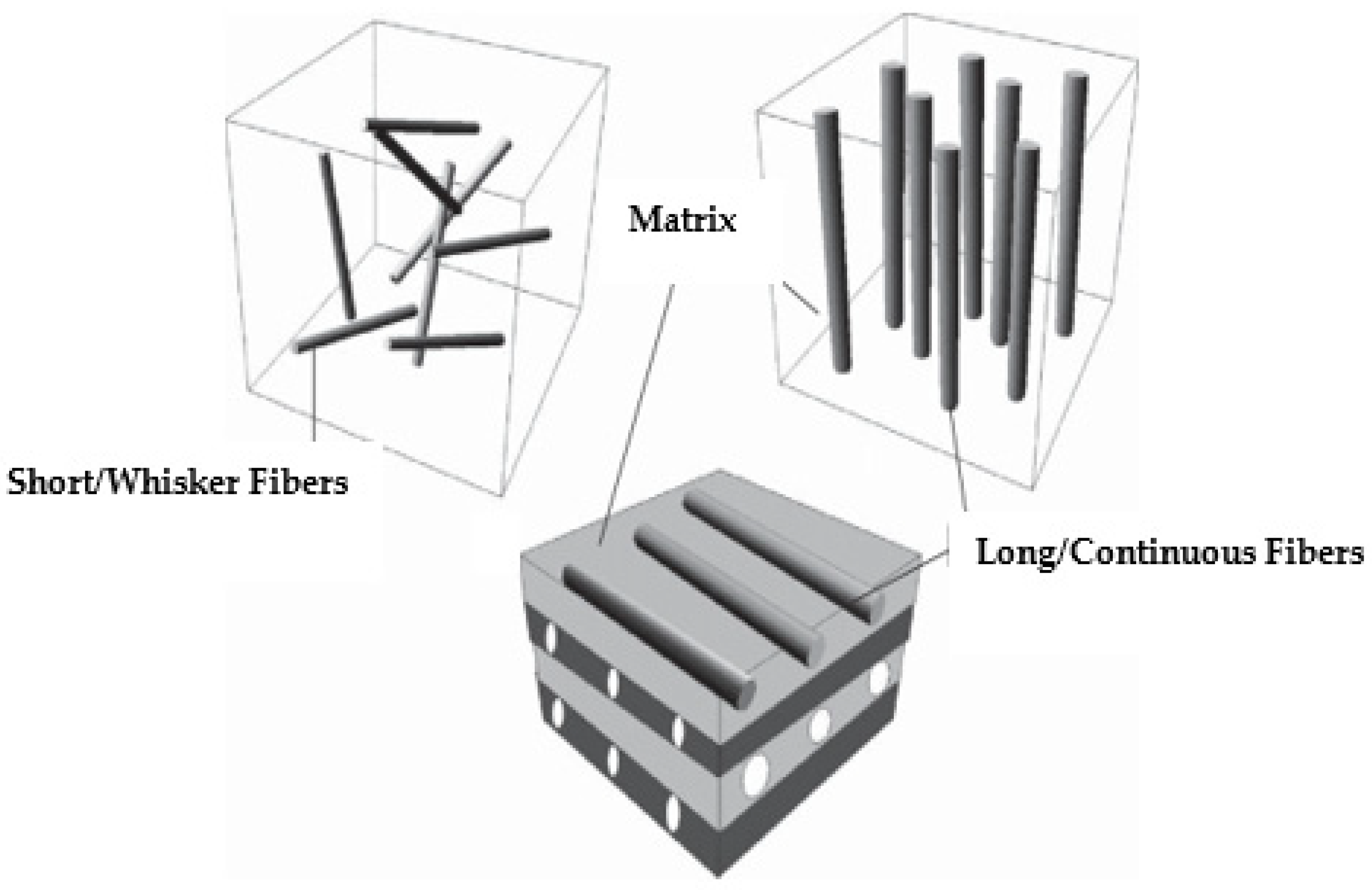 Polymers 16 01622 g003