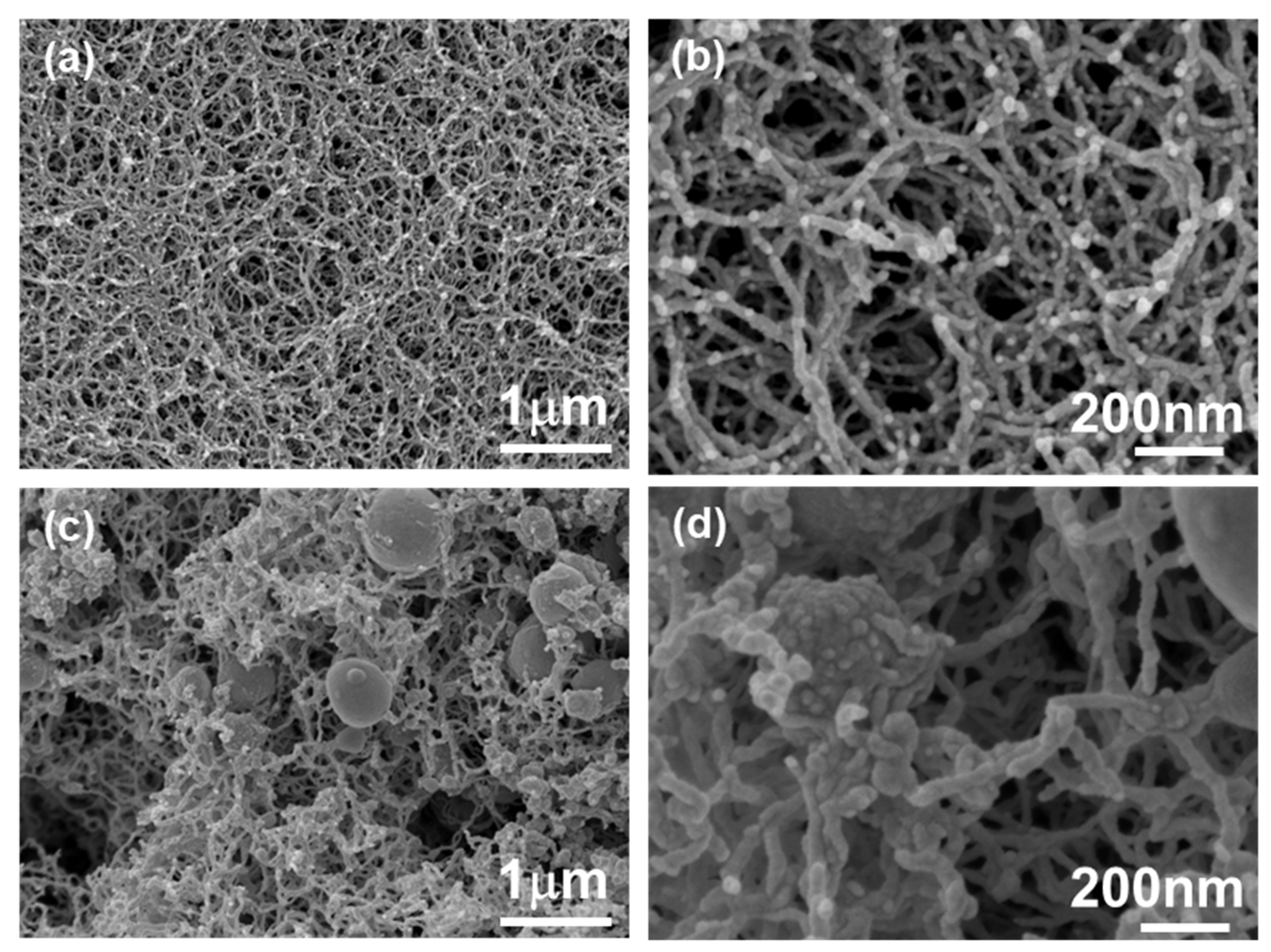 Polymers 16 01628 g005