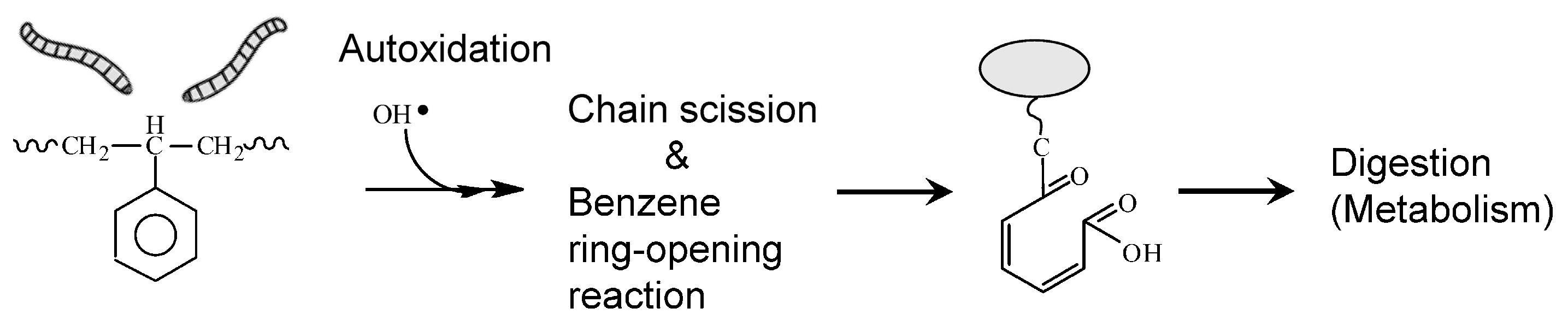 Polymers 16 01632 g007