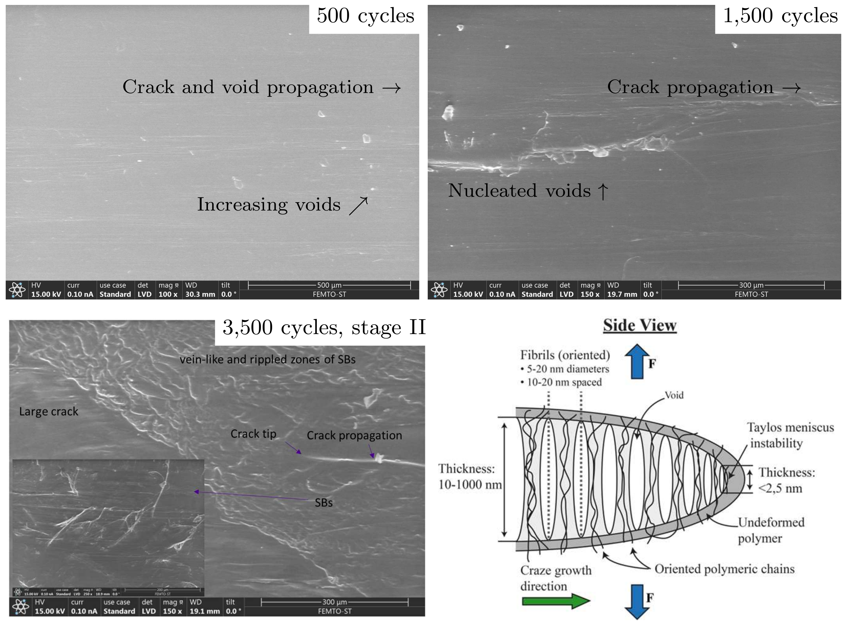 Polymers 16 01640 g016