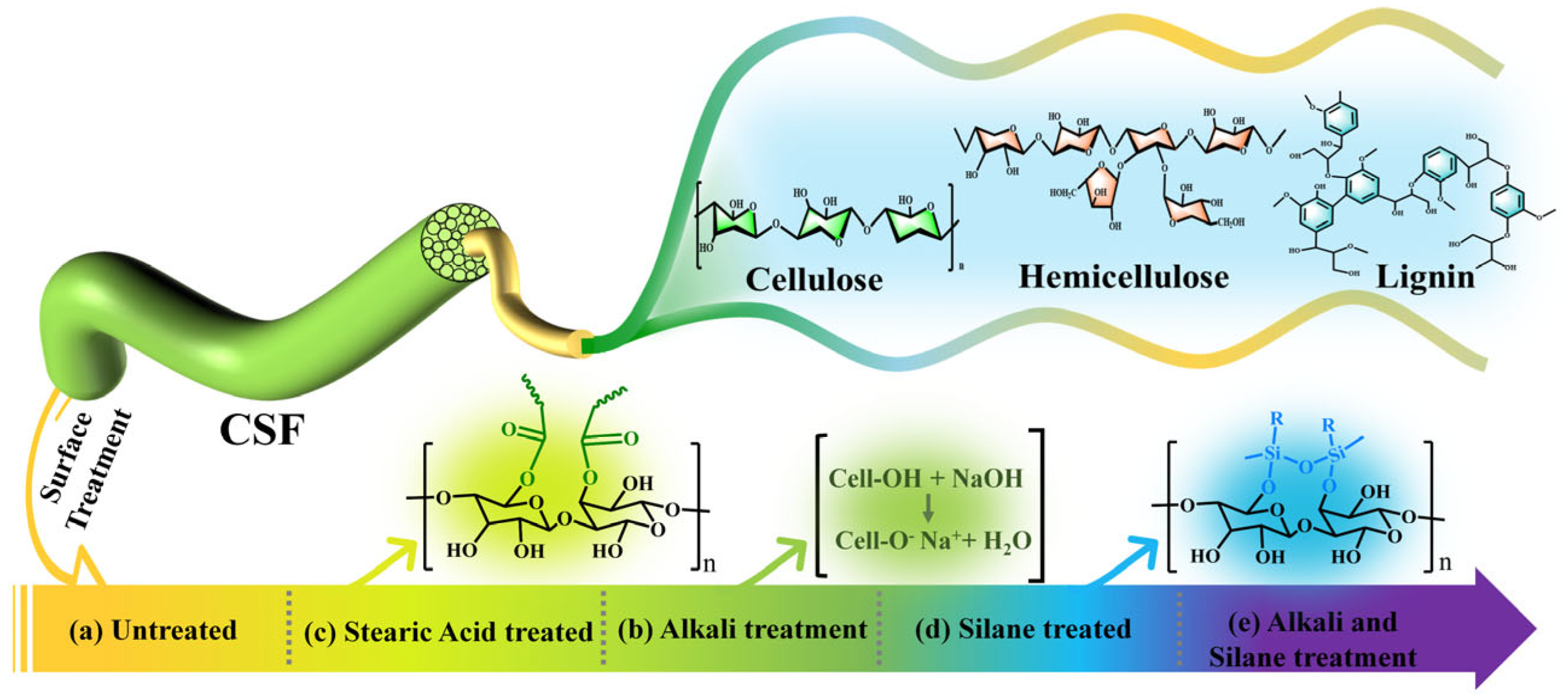Polymers 16 01641 g002