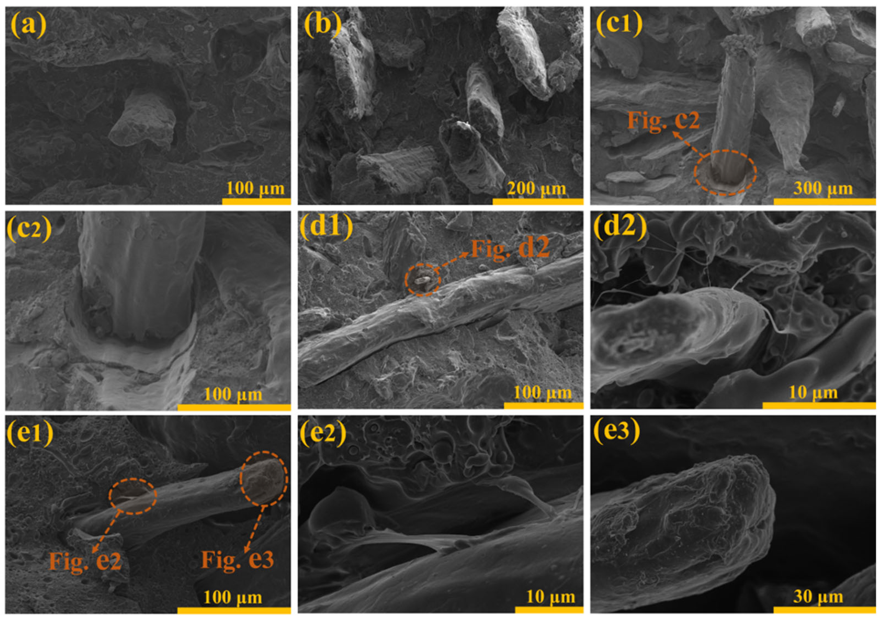 Polymers 16 01641 g006