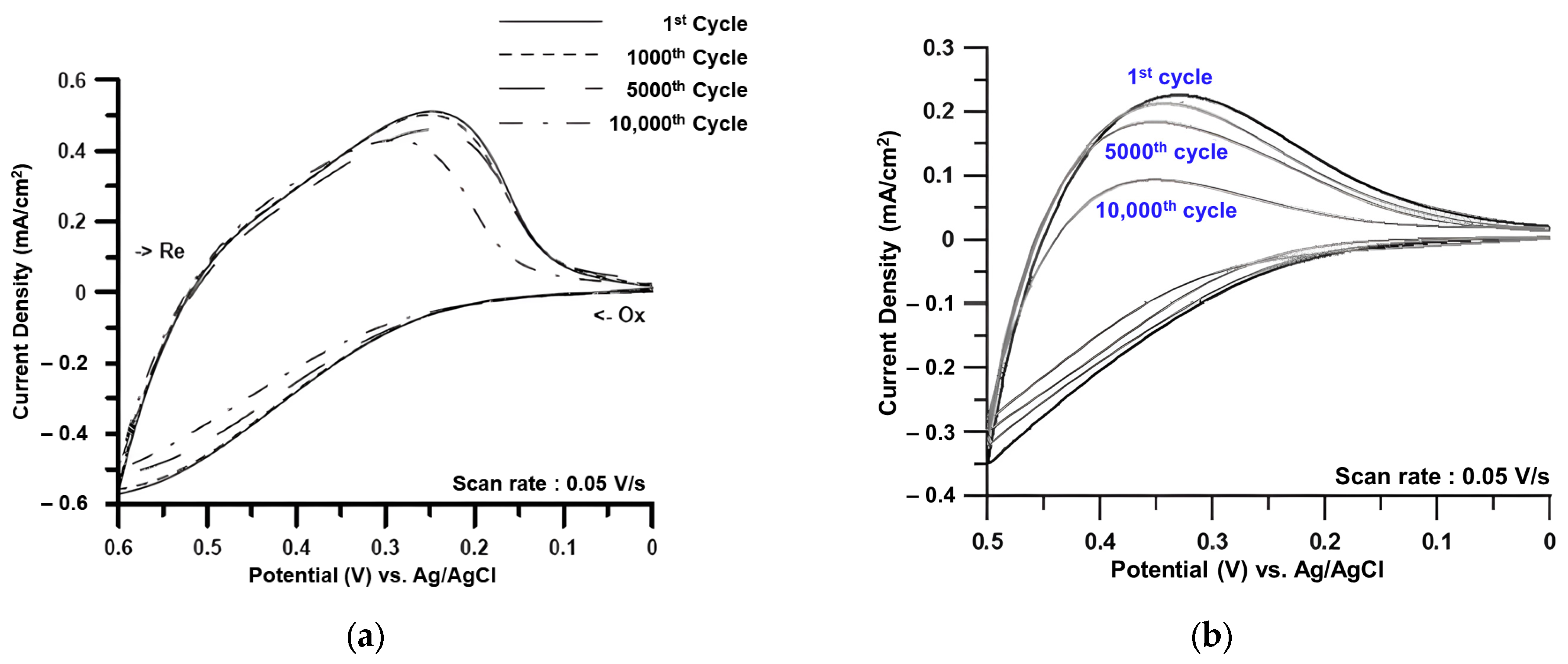 Polymers 16 01644 g004